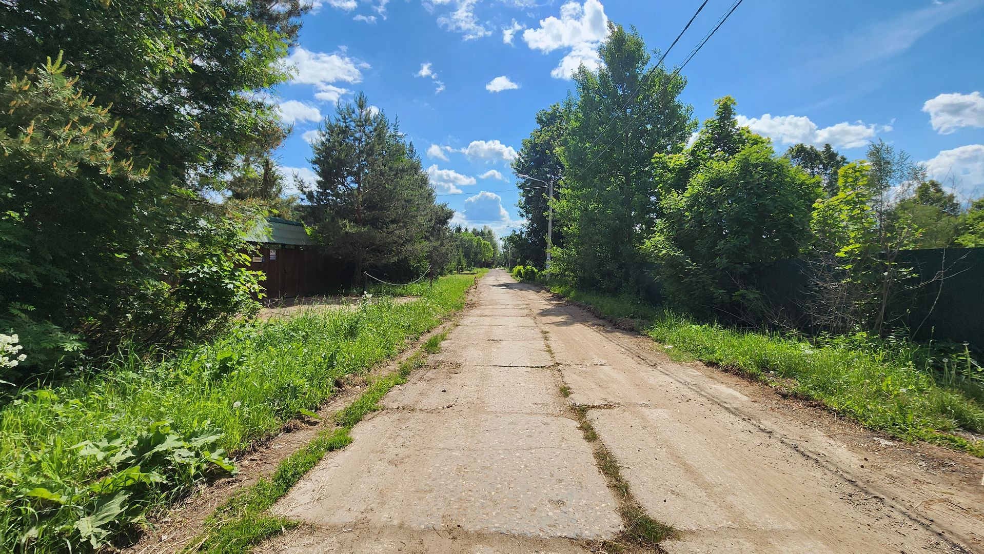 солнечногорск, сверчково, экология, свиноферма, прокуратура,