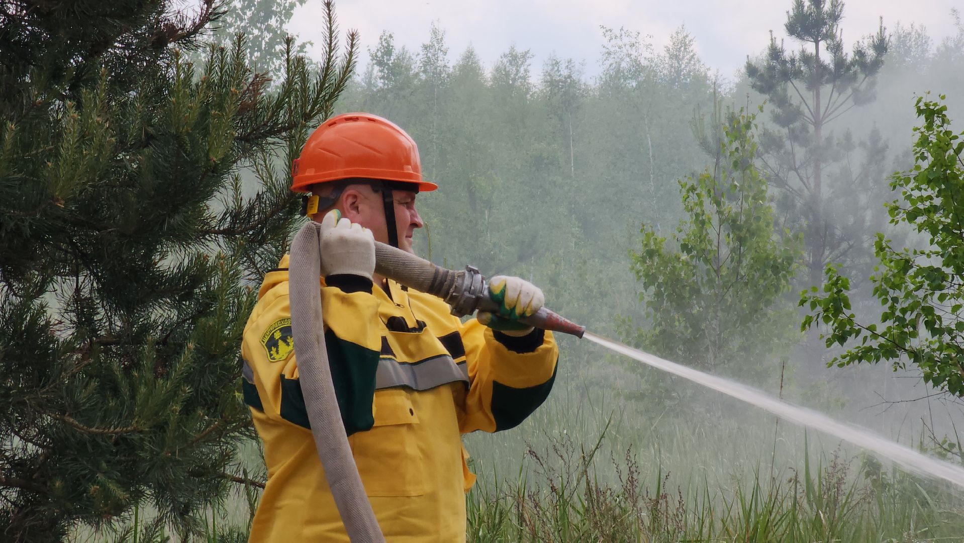 Луховицы, Учения,