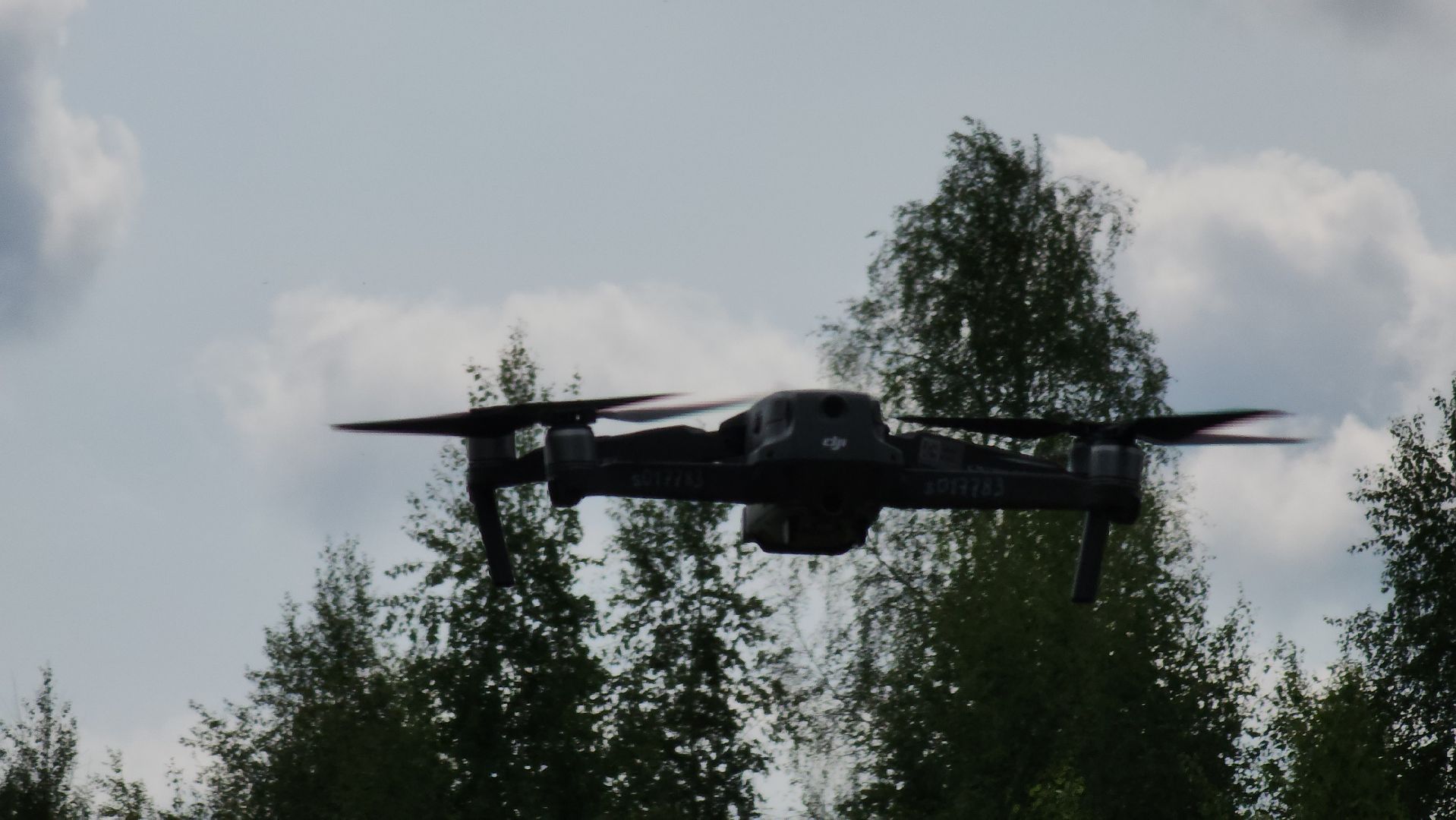 Луховицы, Учения,