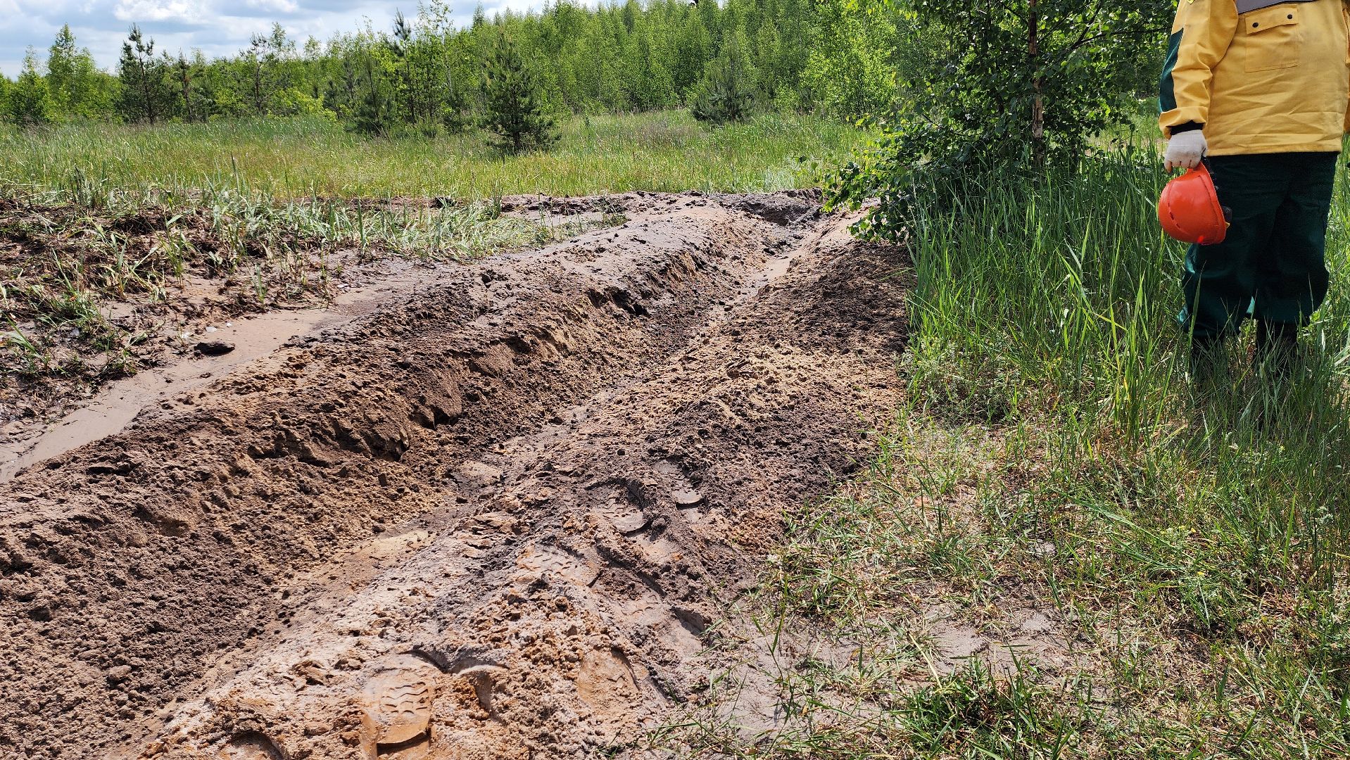 Луховицы, Учения,