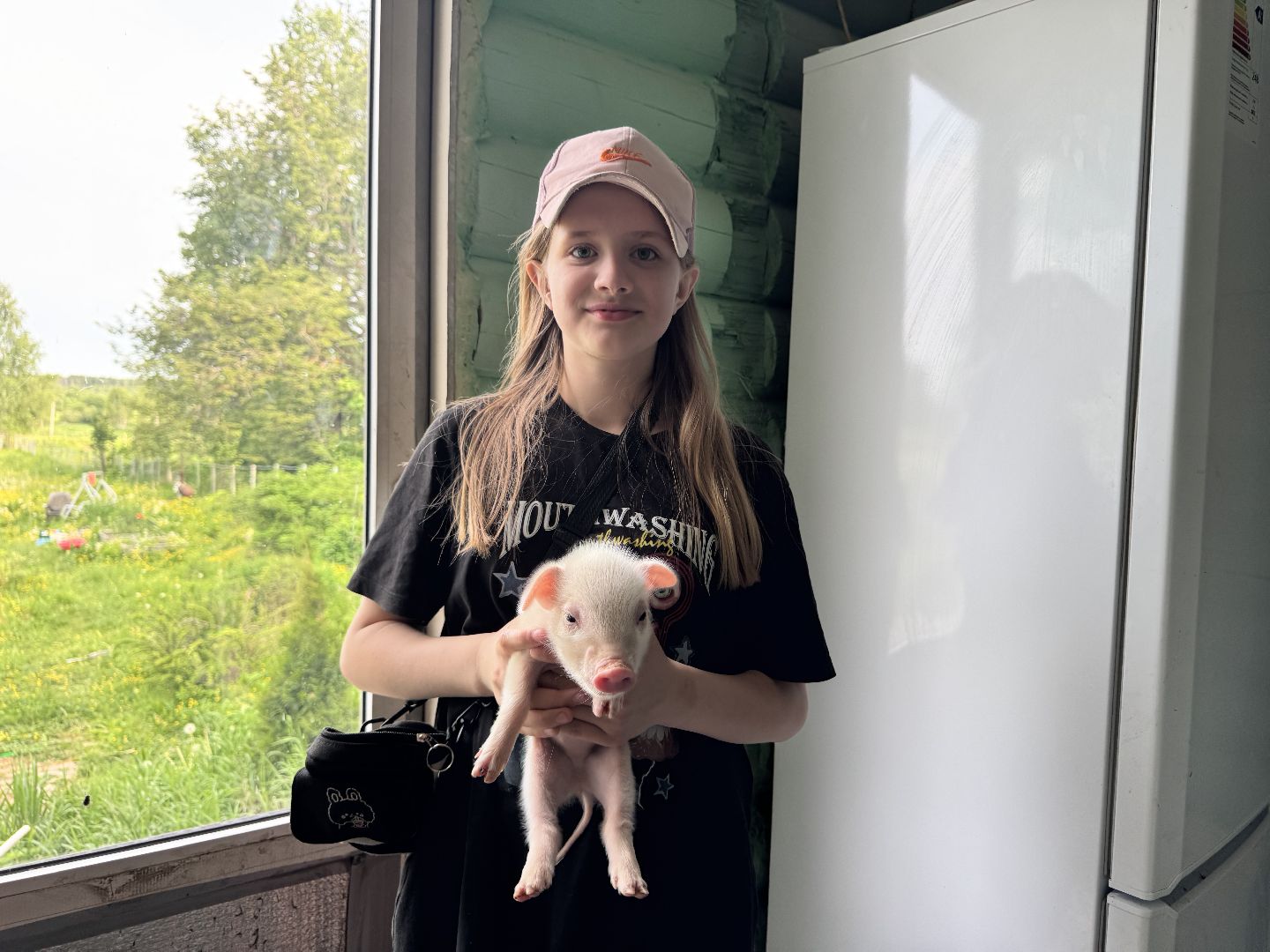 шаховская, поросенок, домашний поросенок, ферма, фермеры,