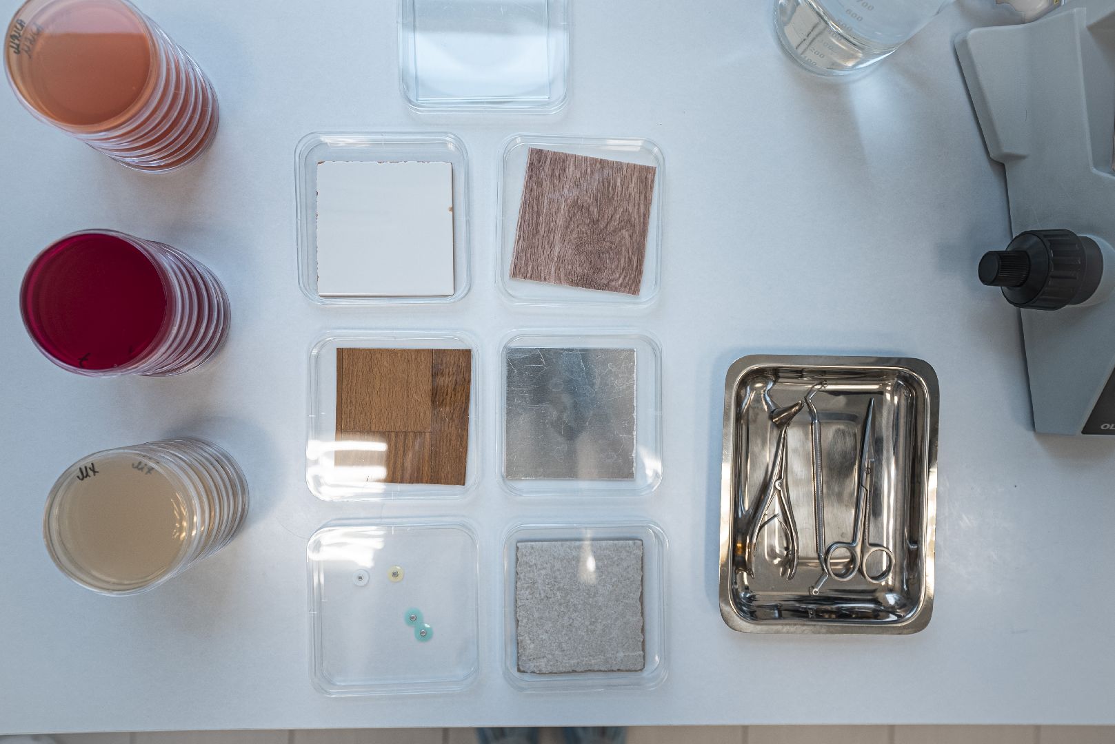 импортозамещение, бизнес, экономика, Мытищи