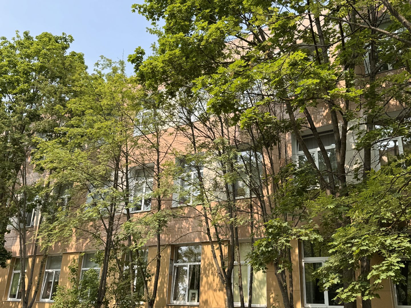 100 баллов по егэ, Литература, Выпускники 2025,