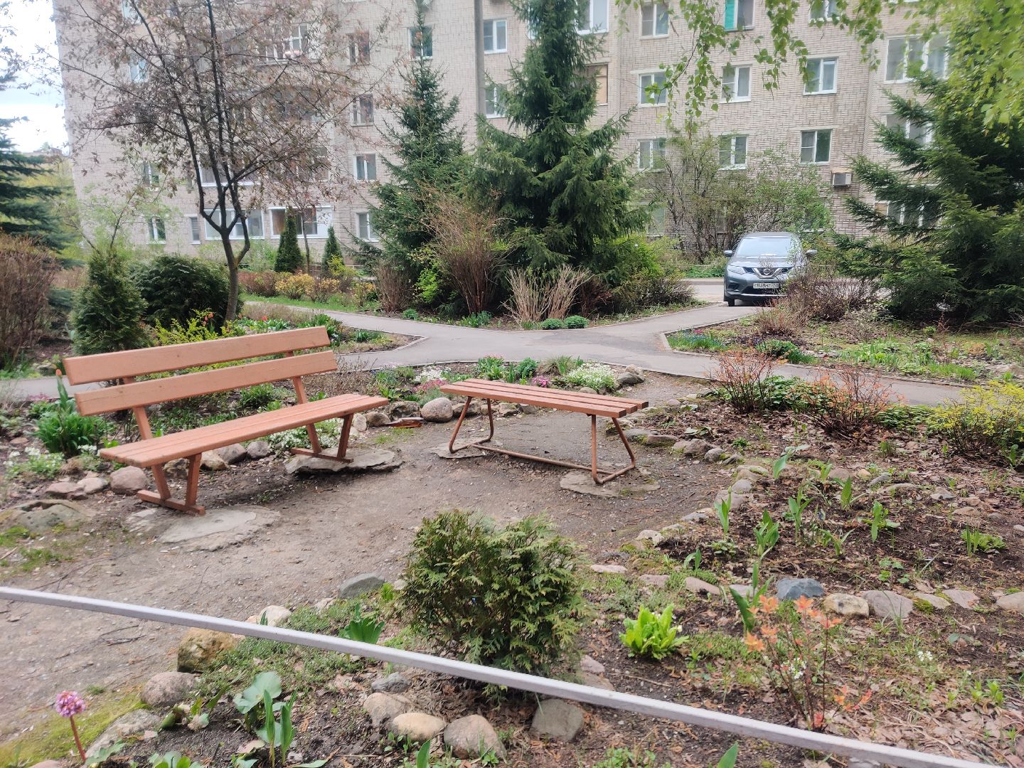 Красноармейск, Пушкинский, сквер, энтузиасты, тюльпаны