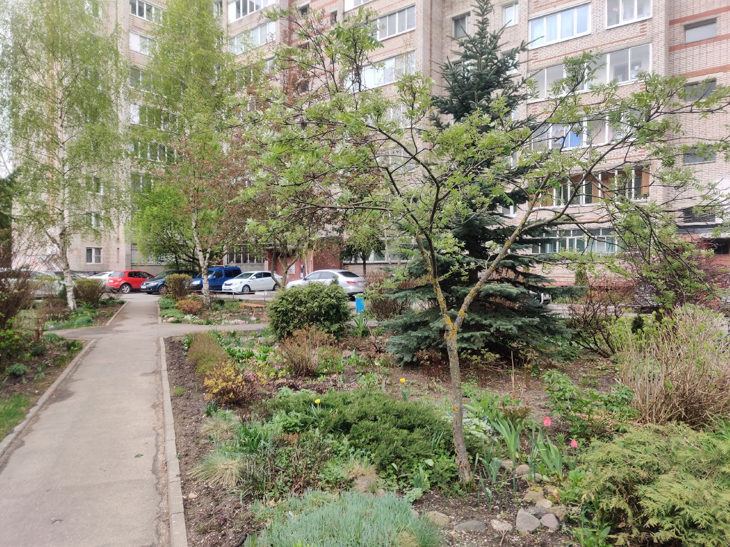 Красноармейск, Пушкинский, сквер, энтузиасты, тюльпаны