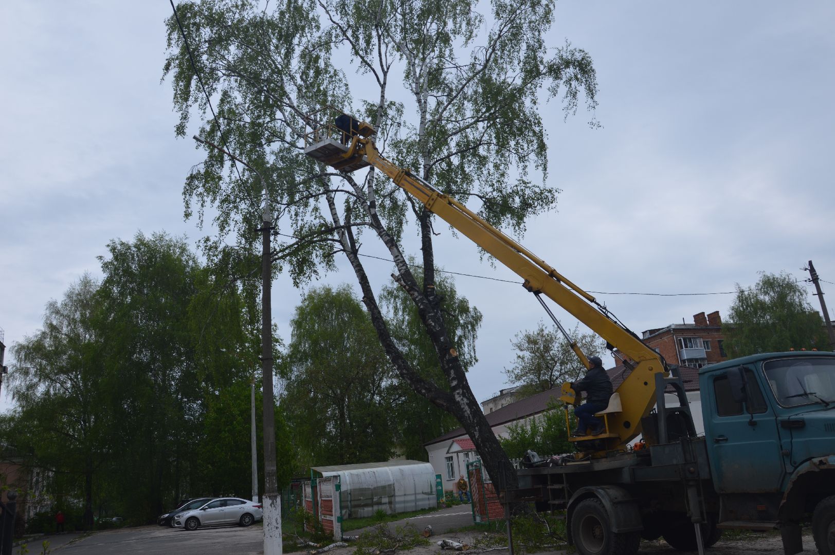 перемены, Шатура, опиловка деревьев, детский сад