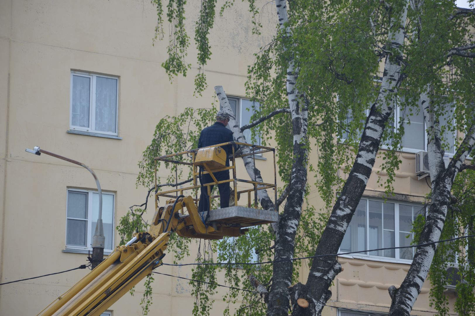 перемены, Шатура, опиловка деревьев, детский сад