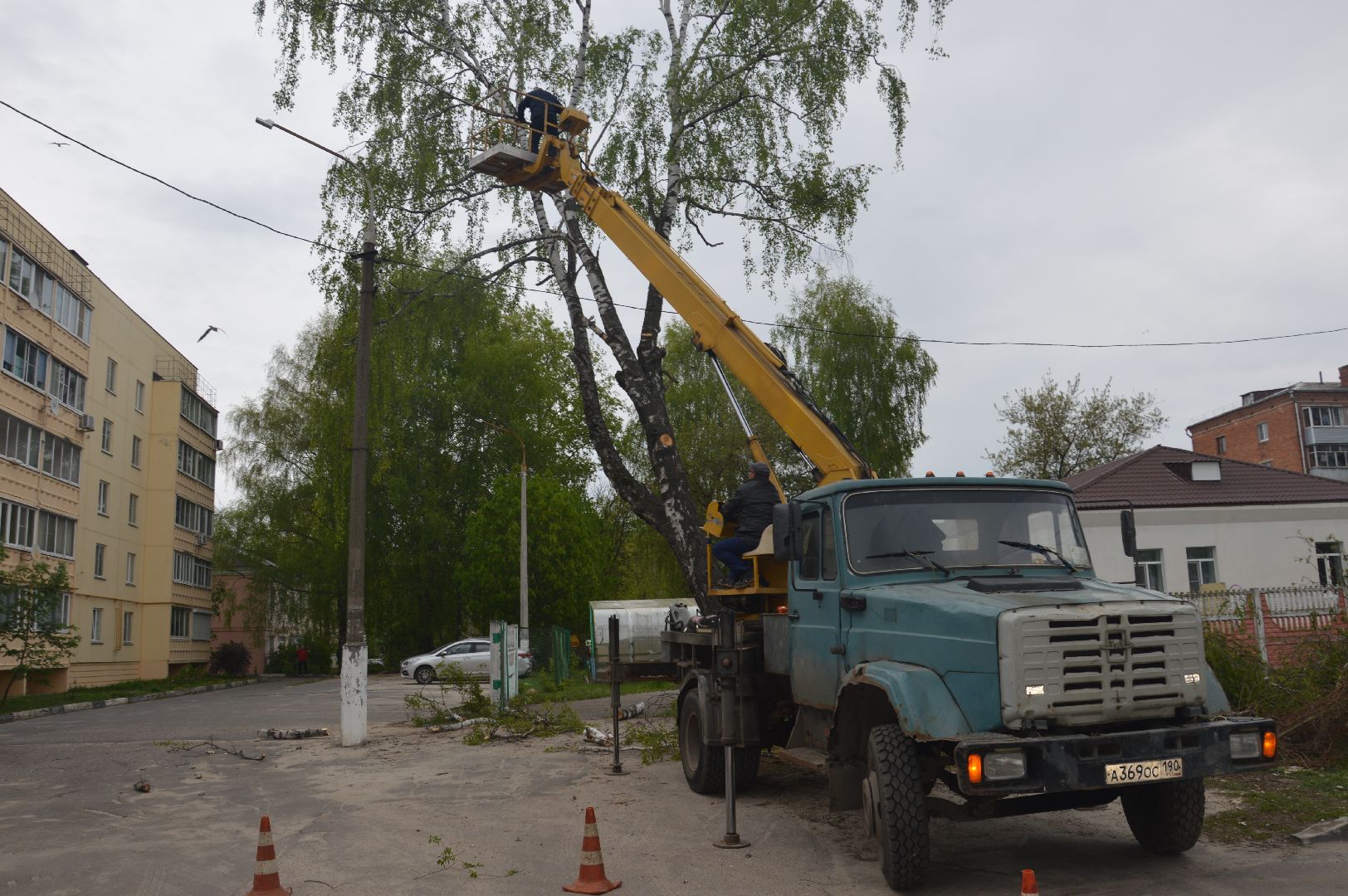 перемены, Шатура, опиловка деревьев, детский сад