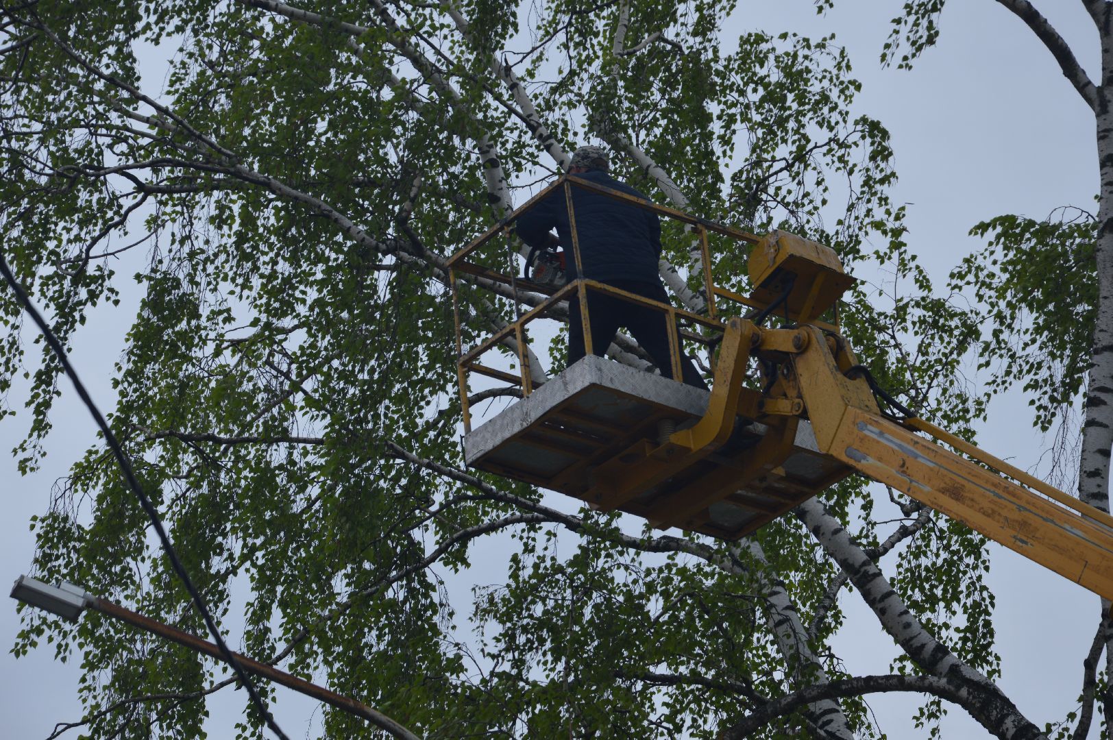 перемены, Шатура, опиловка деревьев, детский сад