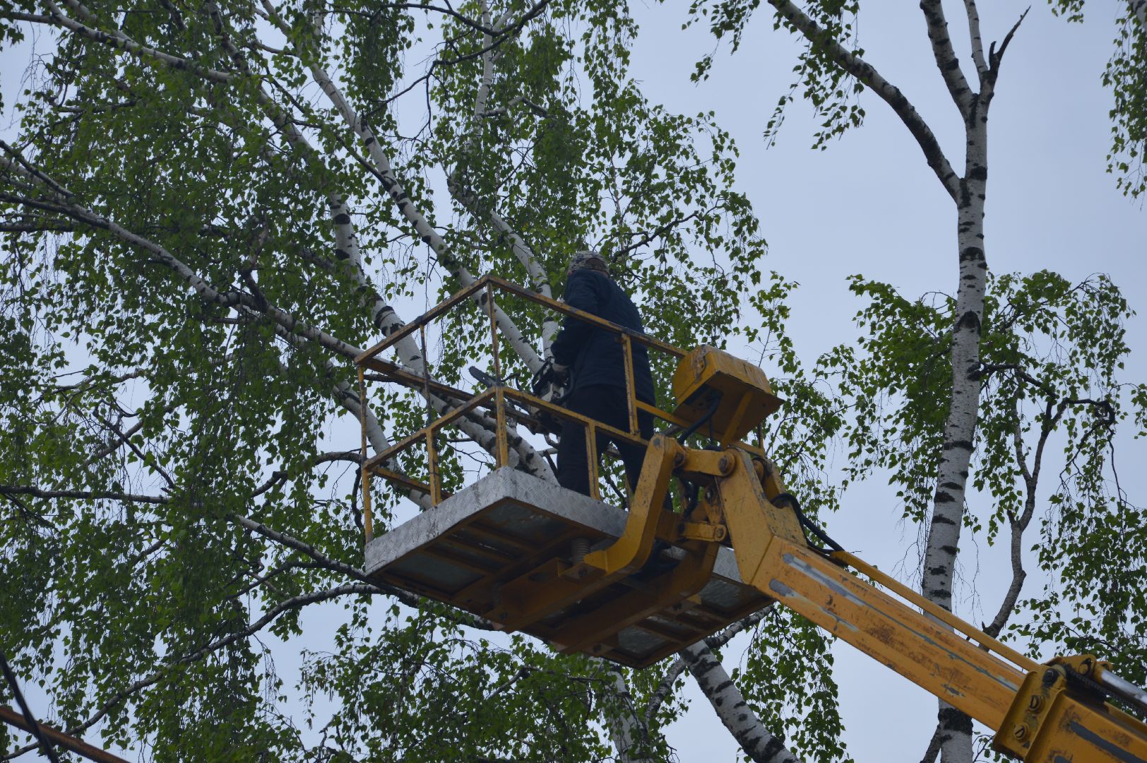 перемены, Шатура, опиловка деревьев, детский сад
