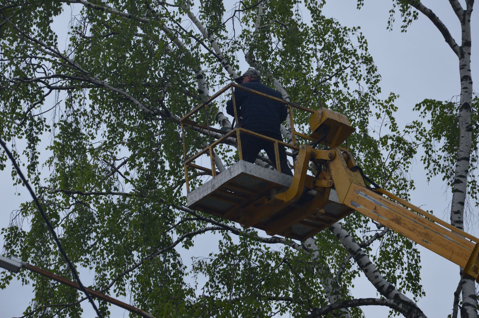 перемены, Шатура, опиловка деревьев, детский сад
