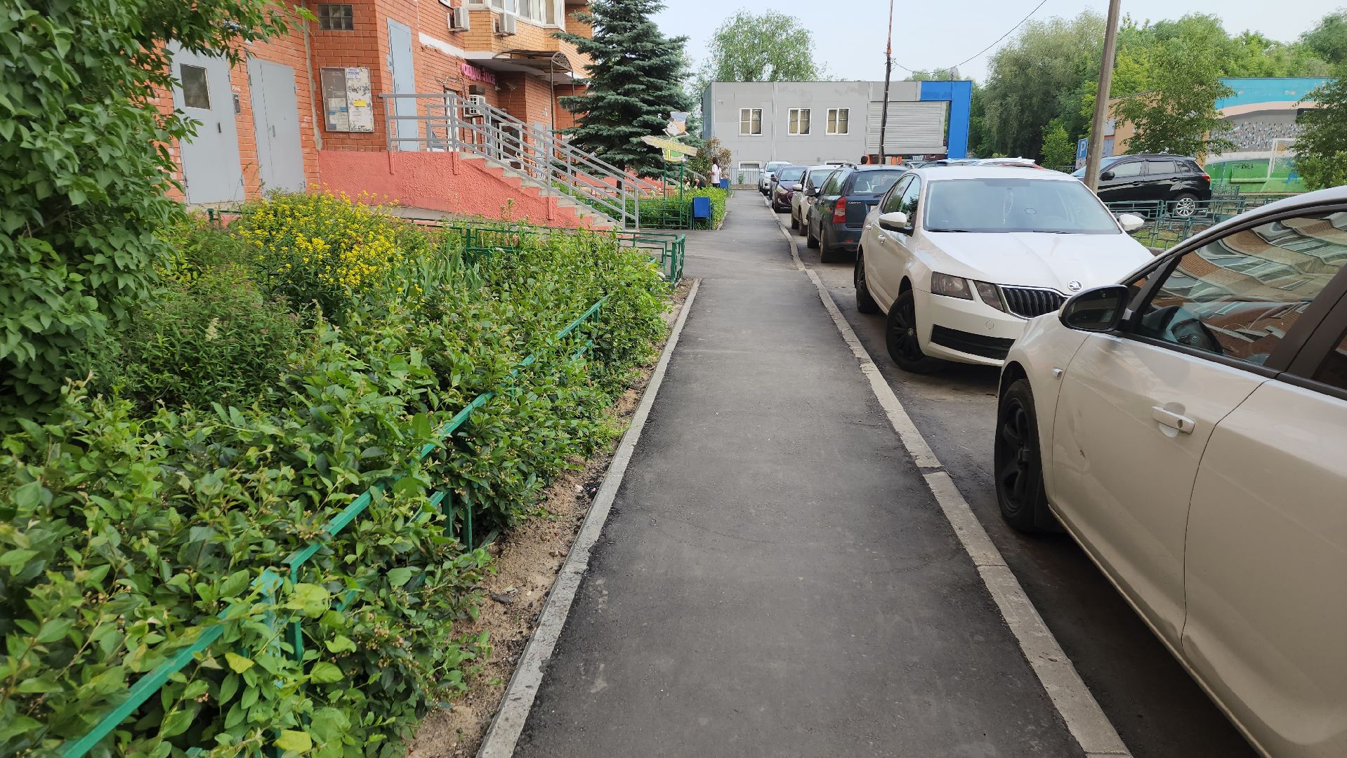 ивантеевка, пушкинский округ, благоустройство,дворовая территория,асфальтирование дворов,благоустроенная территория,вертикалки,