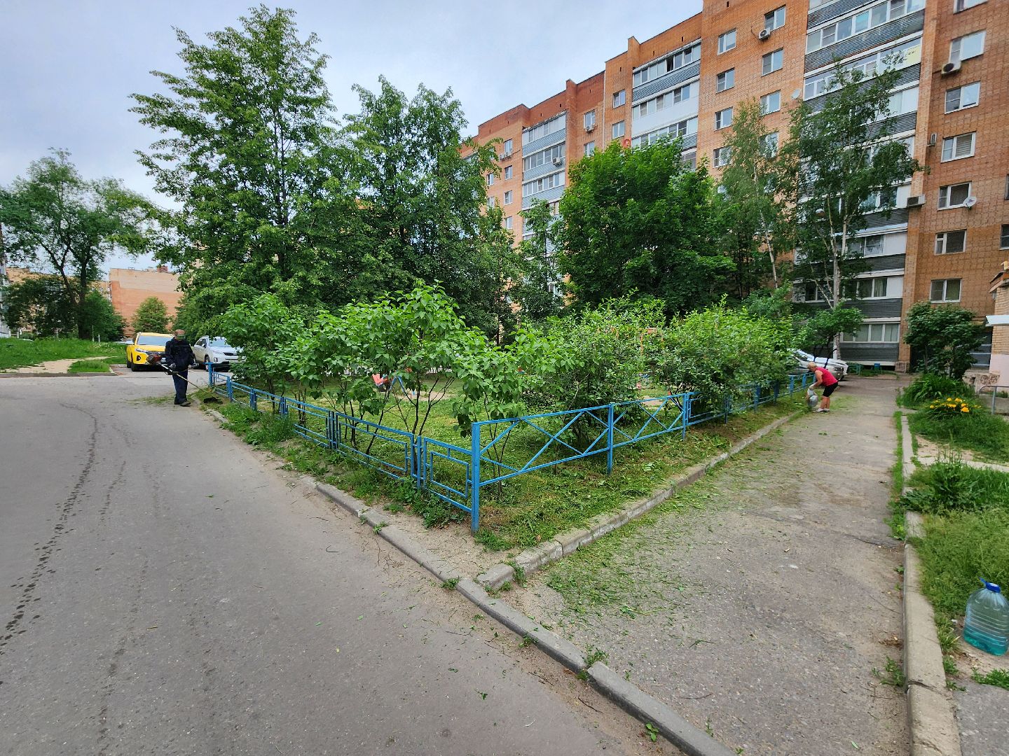 чехов, улица чехова 4,  детская  площадка, придомовая территория, покос травы, уборка мусора, мбу чеховское благоустройство, газон, газонокосилка,