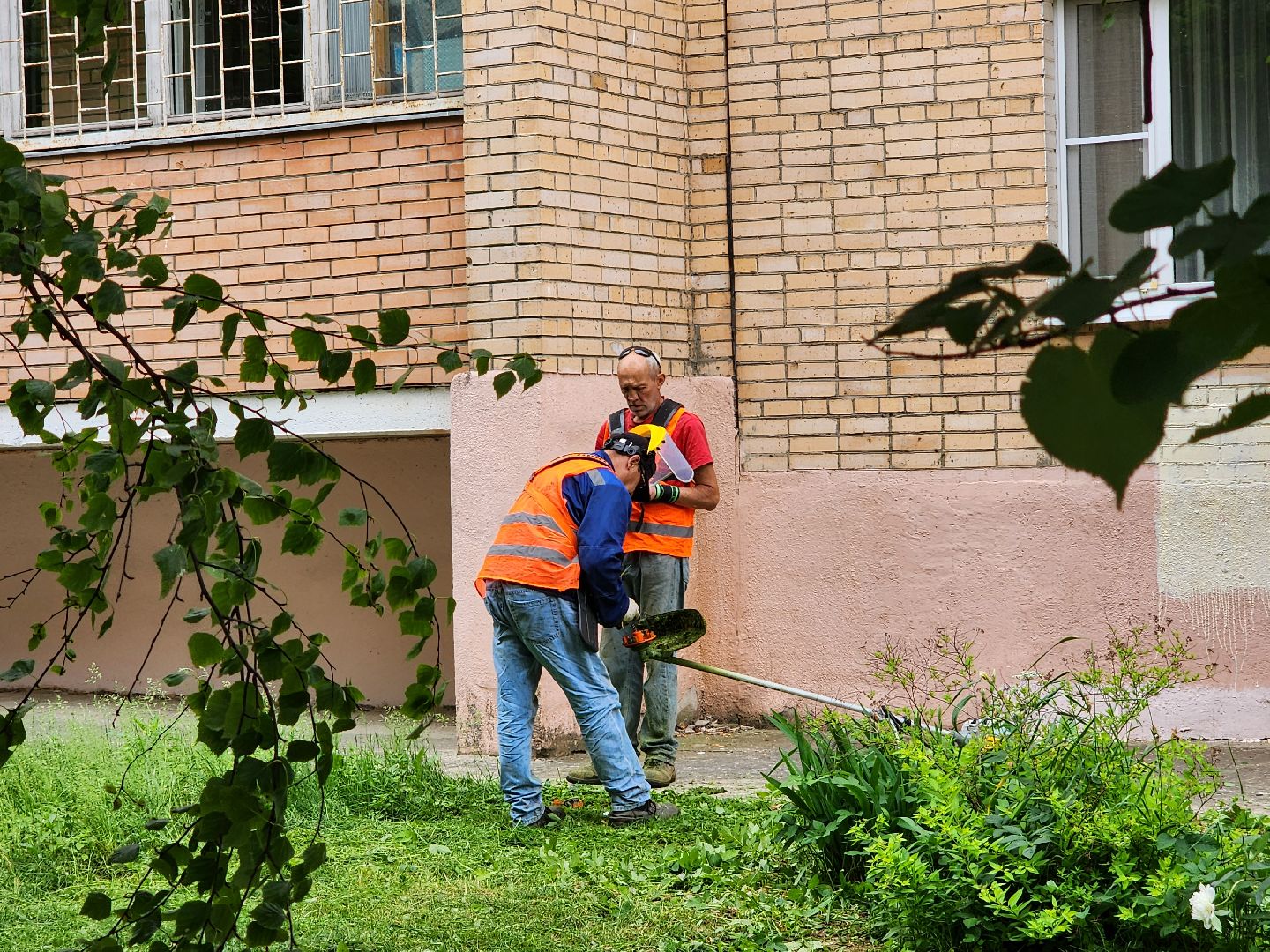 чехов, улица чехова 4,  детская  площадка, придомовая территория, покос травы, уборка мусора, мбу чеховское благоустройство, газон, газонокосилка,