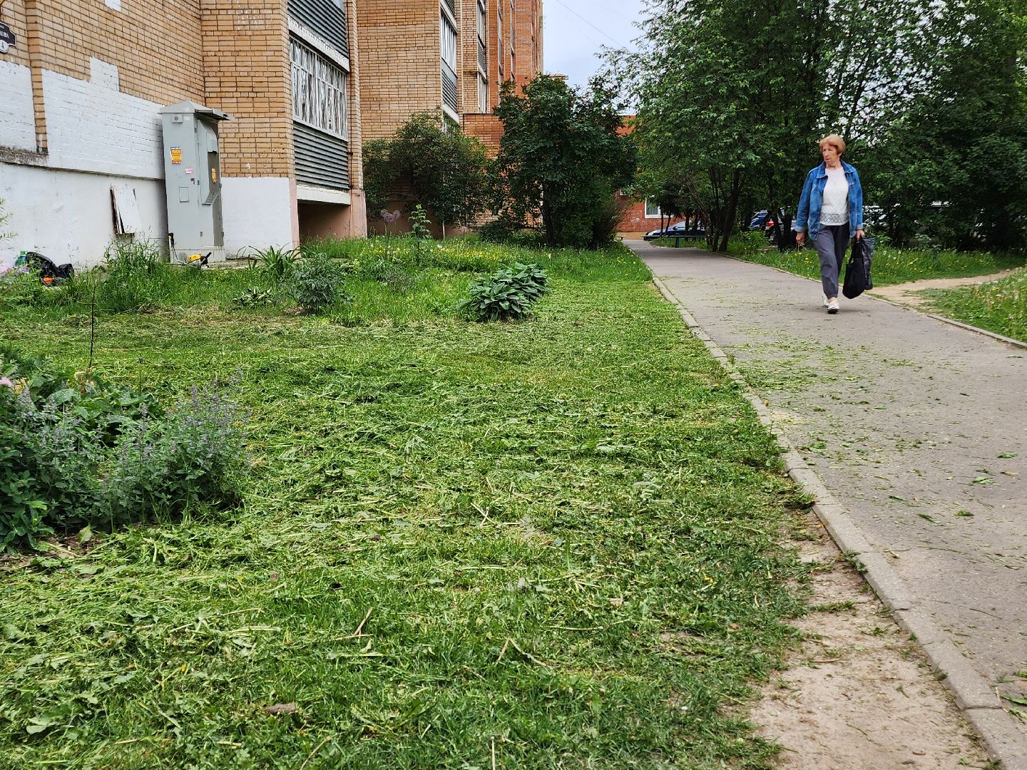 чехов, улица чехова 4,  детская  площадка, придомовая территория, покос травы, уборка мусора, мбу чеховское благоустройство, газон, газонокосилка,