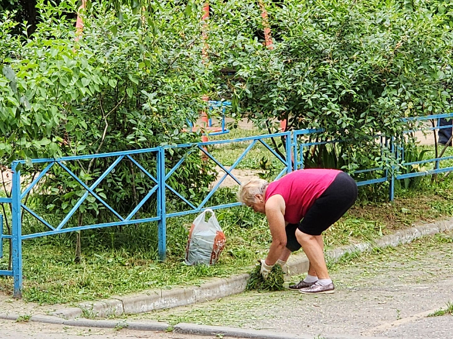 чехов, улица чехова 4,  детская  площадка, придомовая территория, покос травы, уборка мусора, мбу чеховское благоустройство, газон, газонокосилка,
