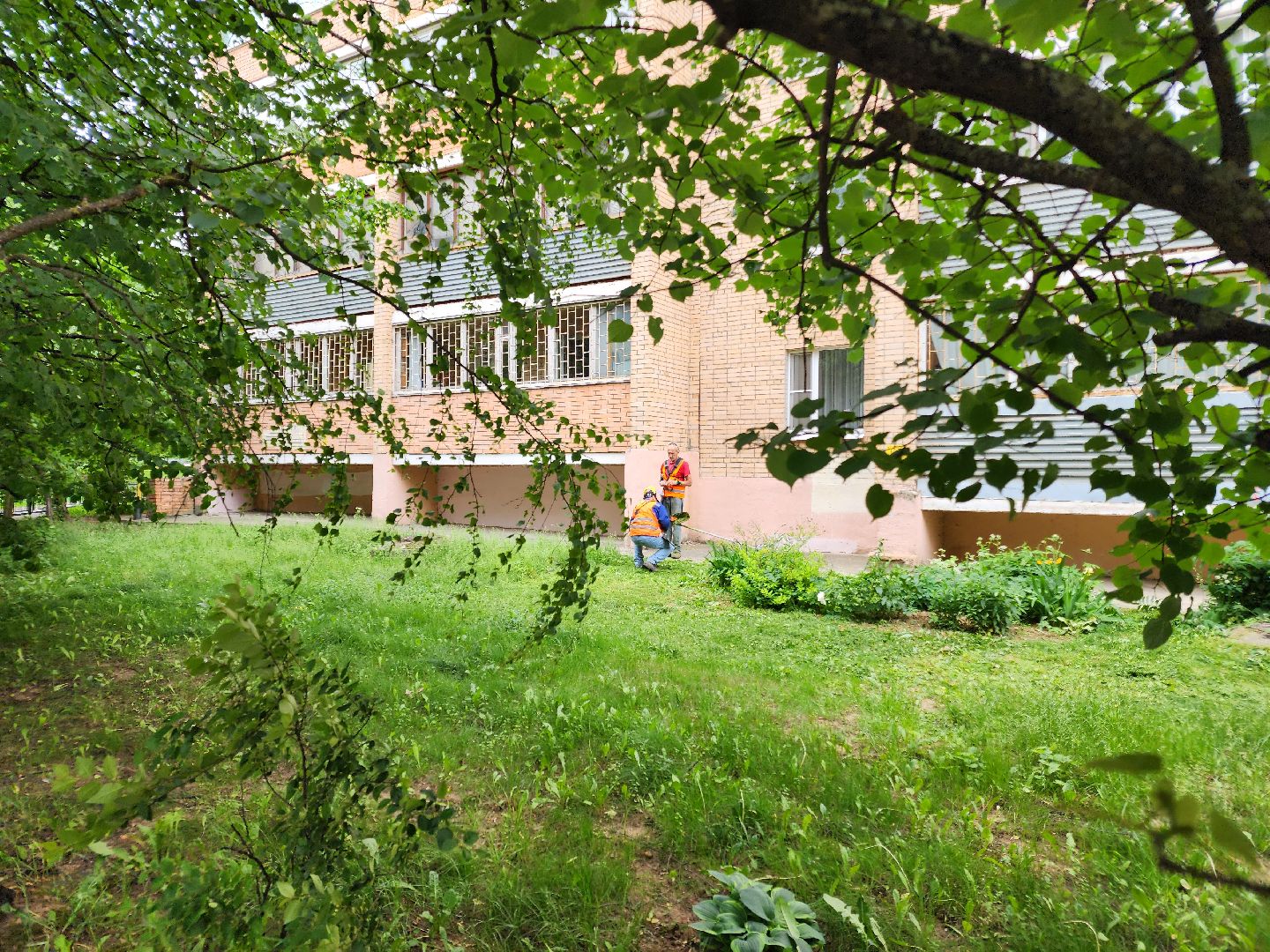 чехов, улица чехова 4,  детская  площадка, придомовая территория, покос травы, уборка мусора, мбу чеховское благоустройство, газон, газонокосилка,