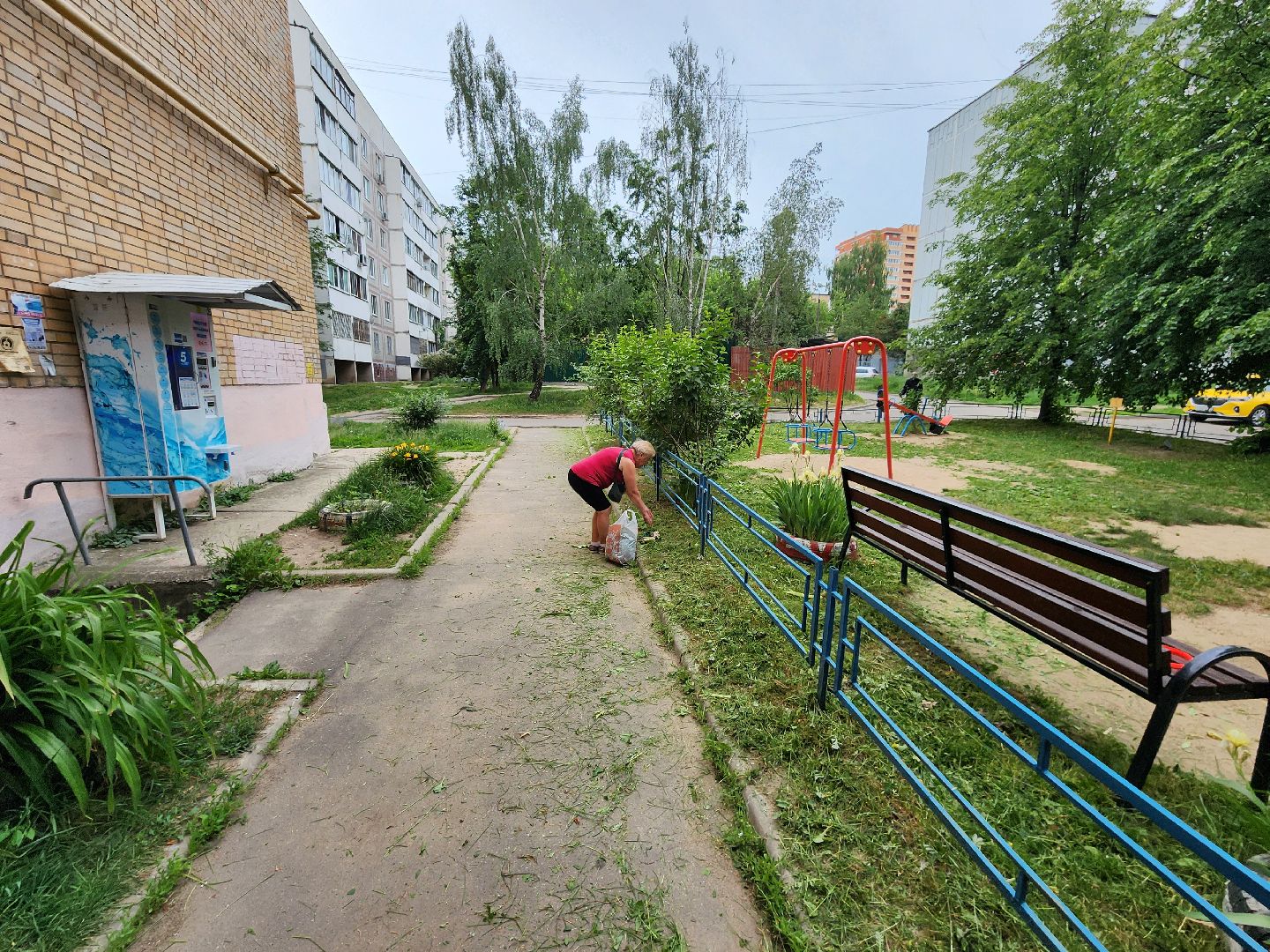 чехов, улица чехова 4,  детская  площадка, придомовая территория, покос травы, уборка мусора, мбу чеховское благоустройство, газон, газонокосилка,