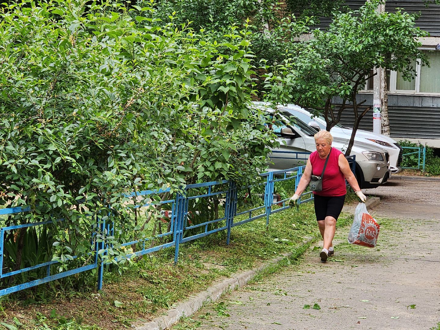 чехов, улица чехова 4,  детская  площадка, придомовая территория, покос травы, уборка мусора, мбу чеховское благоустройство, газон, газонокосилка,