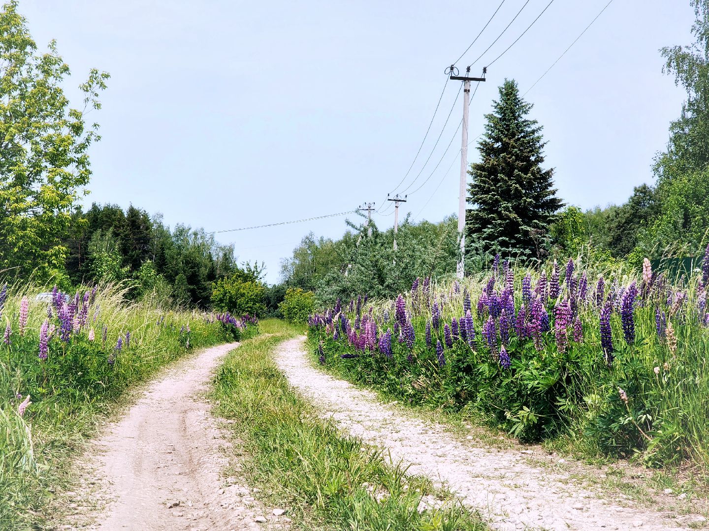 Пущино , серпухов, лето в подмосковье,