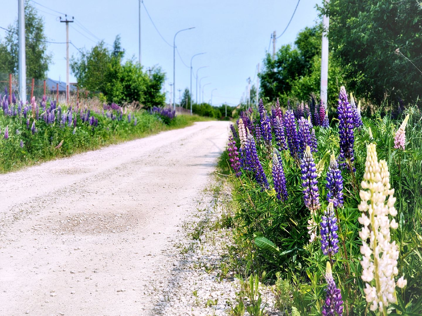Пущино , серпухов, лето в подмосковье,