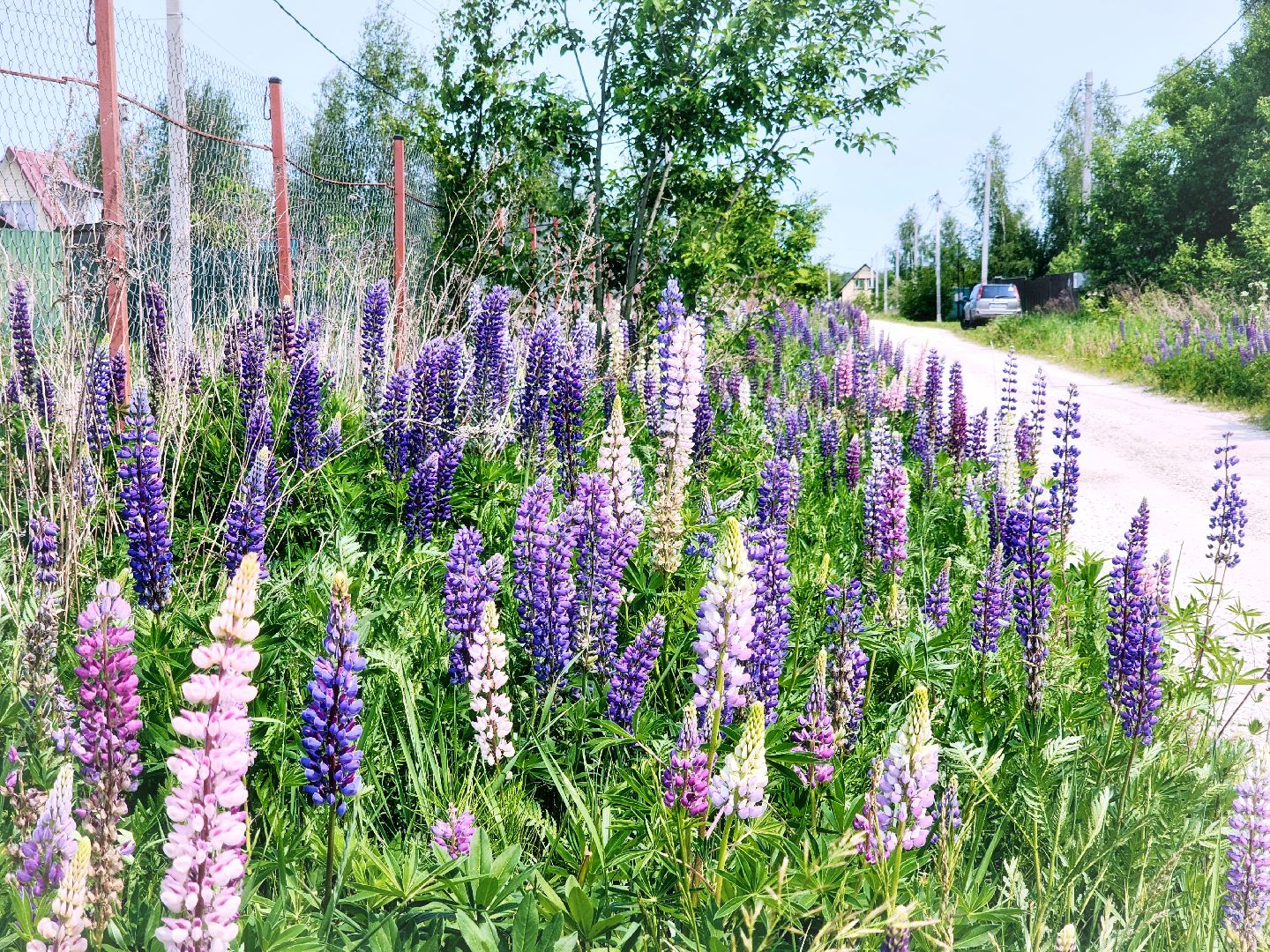 Пущино , серпухов, лето в подмосковье,