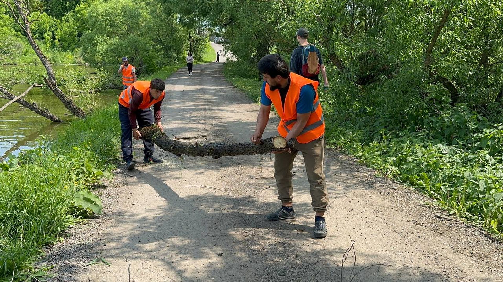 экологическая акция, домодедово,
