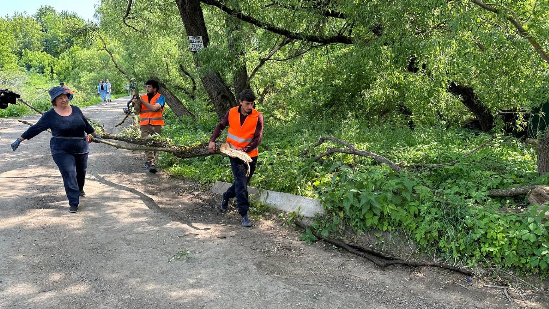 экологическая акция, домодедово,