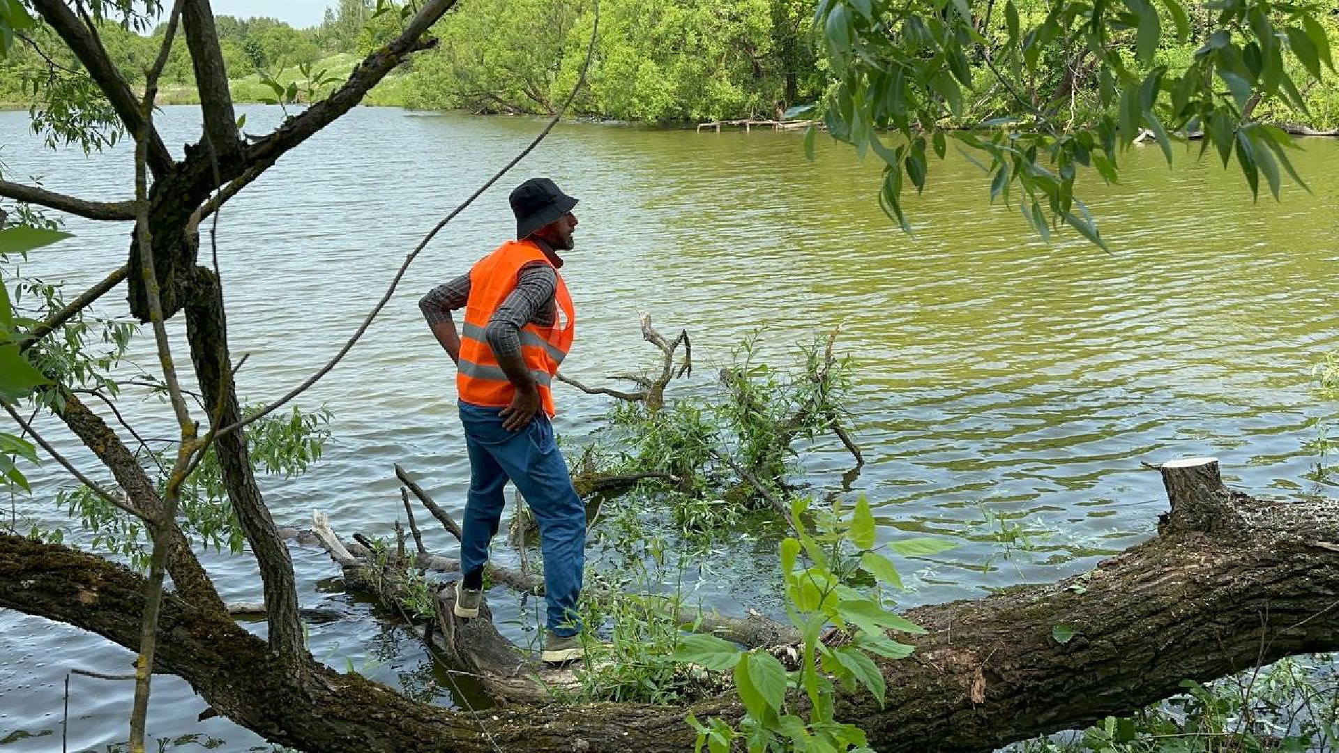экологическая акция, домодедово,