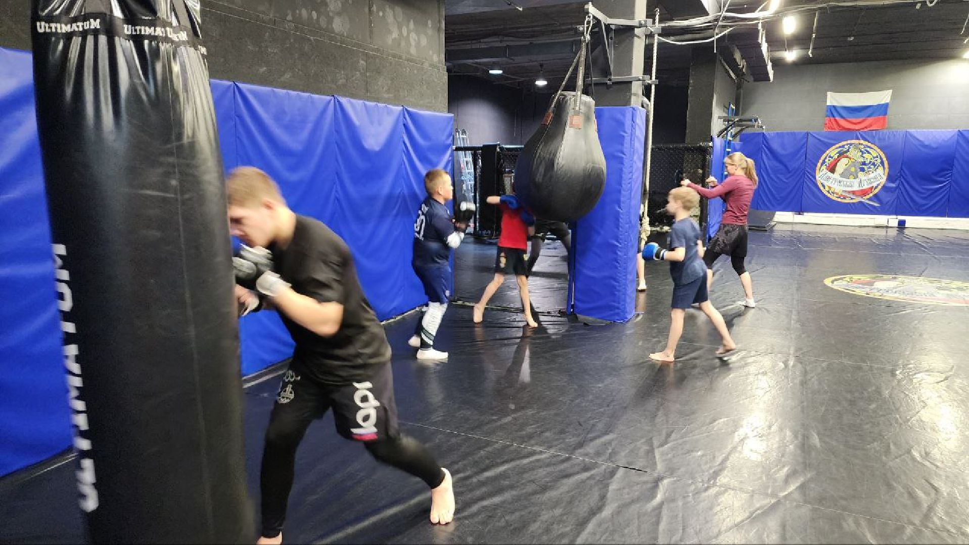 Дмитров, Семья Самоцуповых, Клуб Дмитровская дружина, ММА, Минспорта,