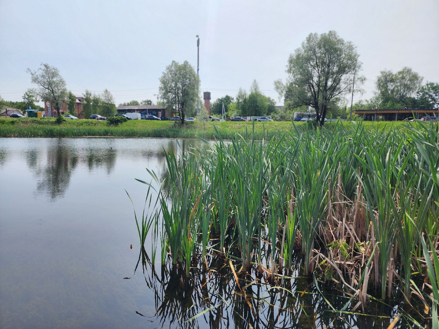 сергиво-посадский городской округ, сергиев посад, хотьково, благоустройсво, комфортная городская среда,