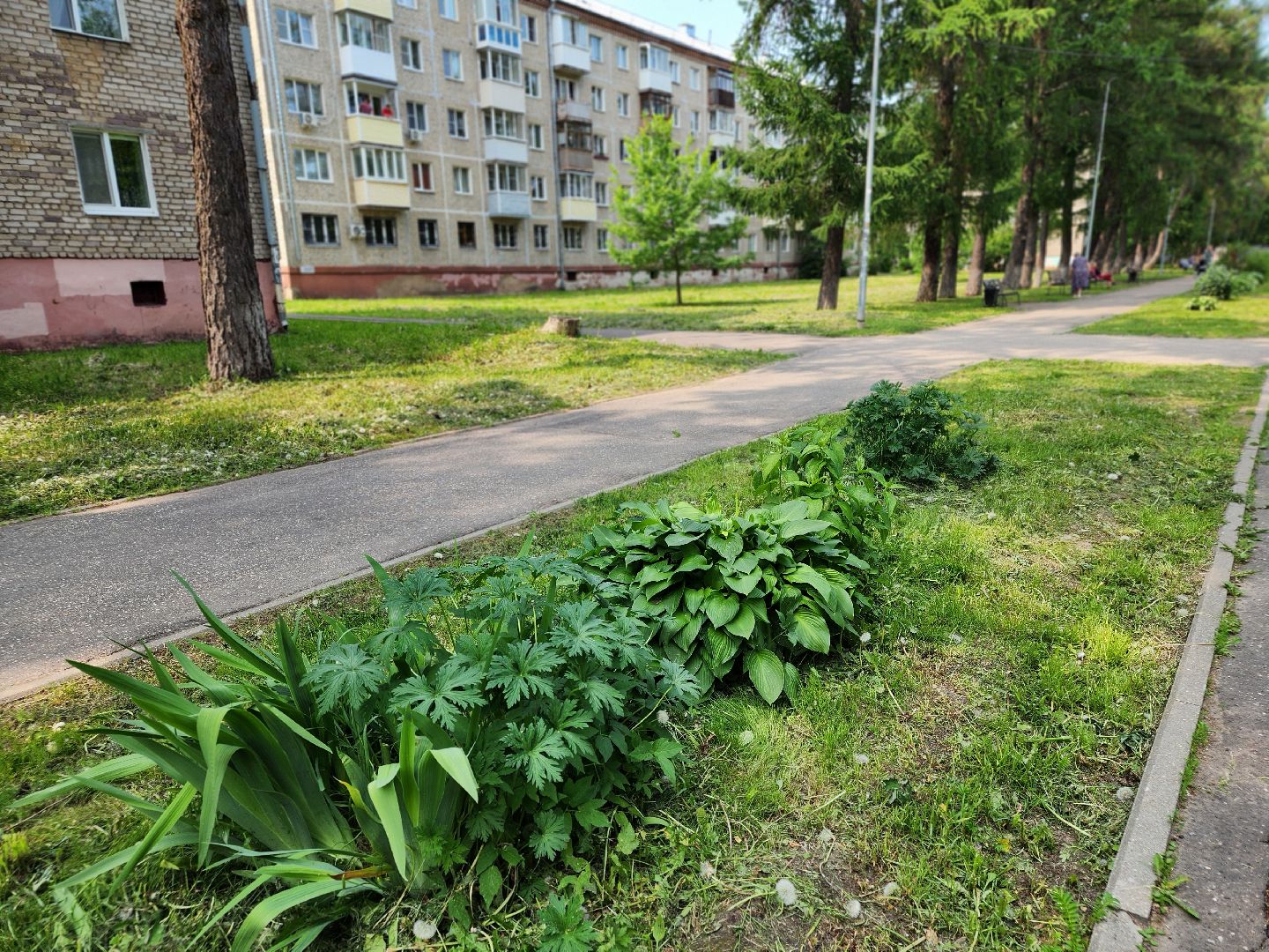 сергиво-посадский городской округ, сергиев посад, хотьково, благоустройсво, комфортная городская среда,