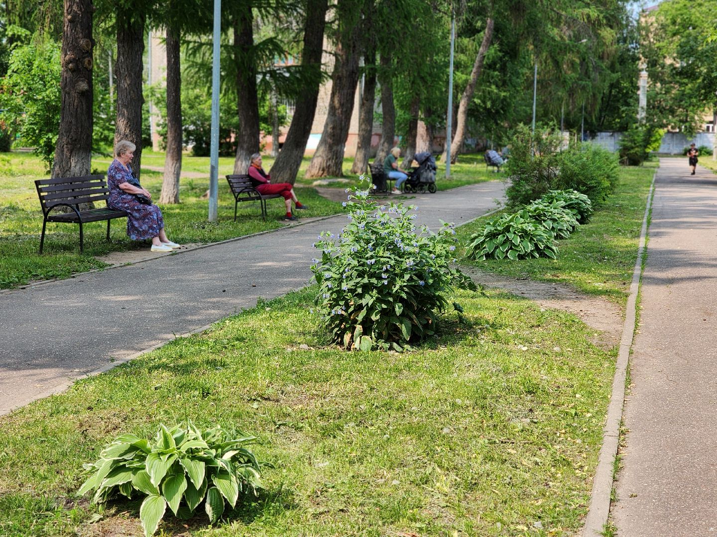 сергиво-посадский городской округ, сергиев посад, хотьково, благоустройсво, комфортная городская среда,