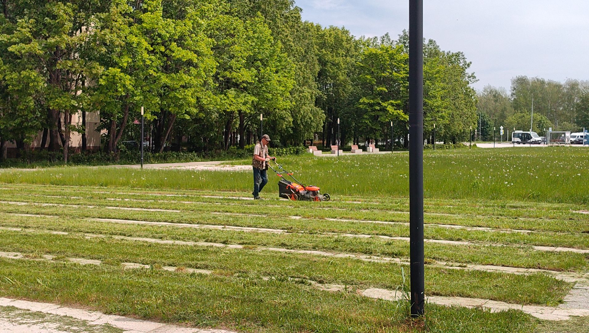 газон, сквер, трава, коммунальная служба,