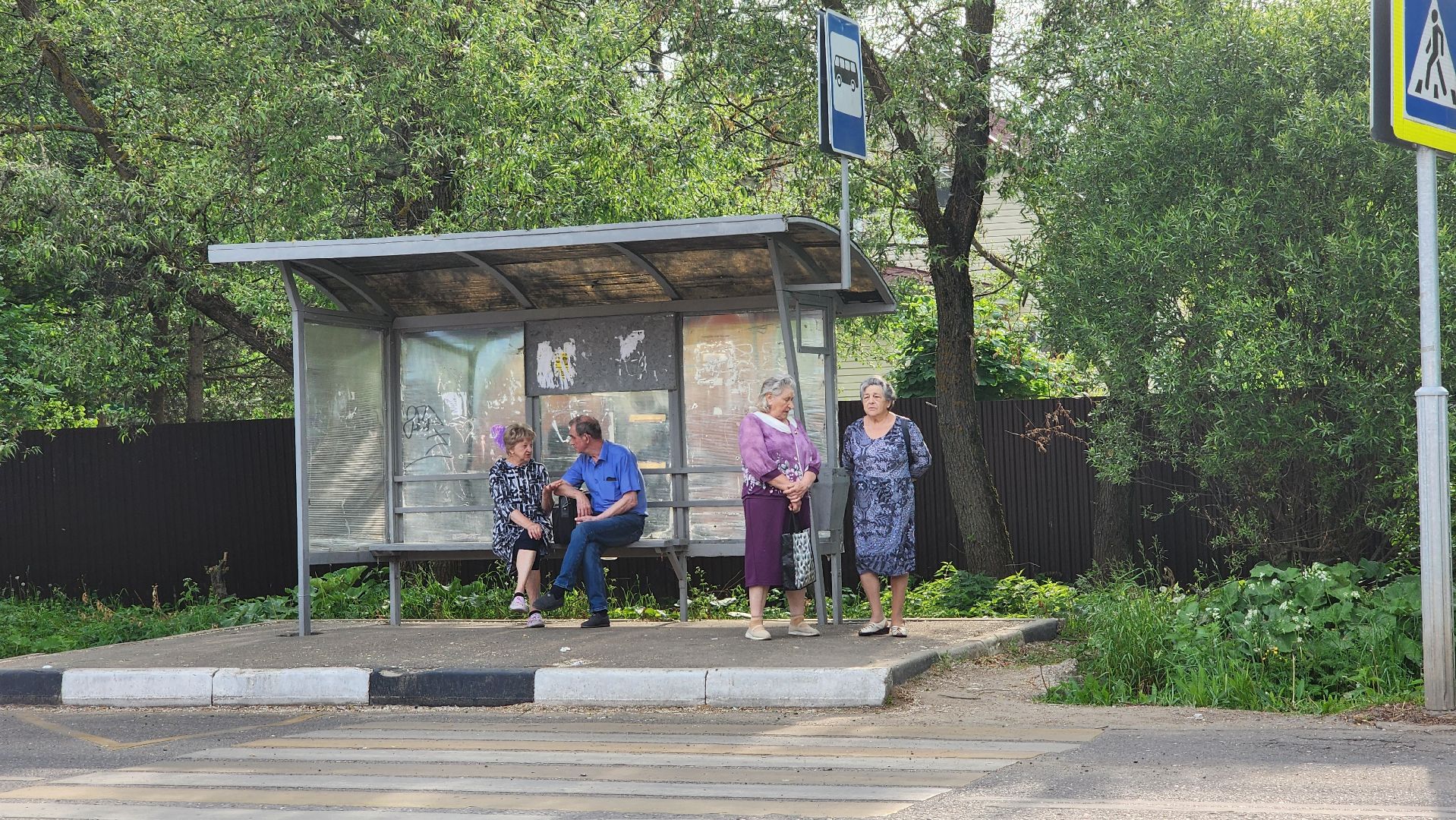 солнечногорск,  алабушево, выездная администрация, отлов животных,
