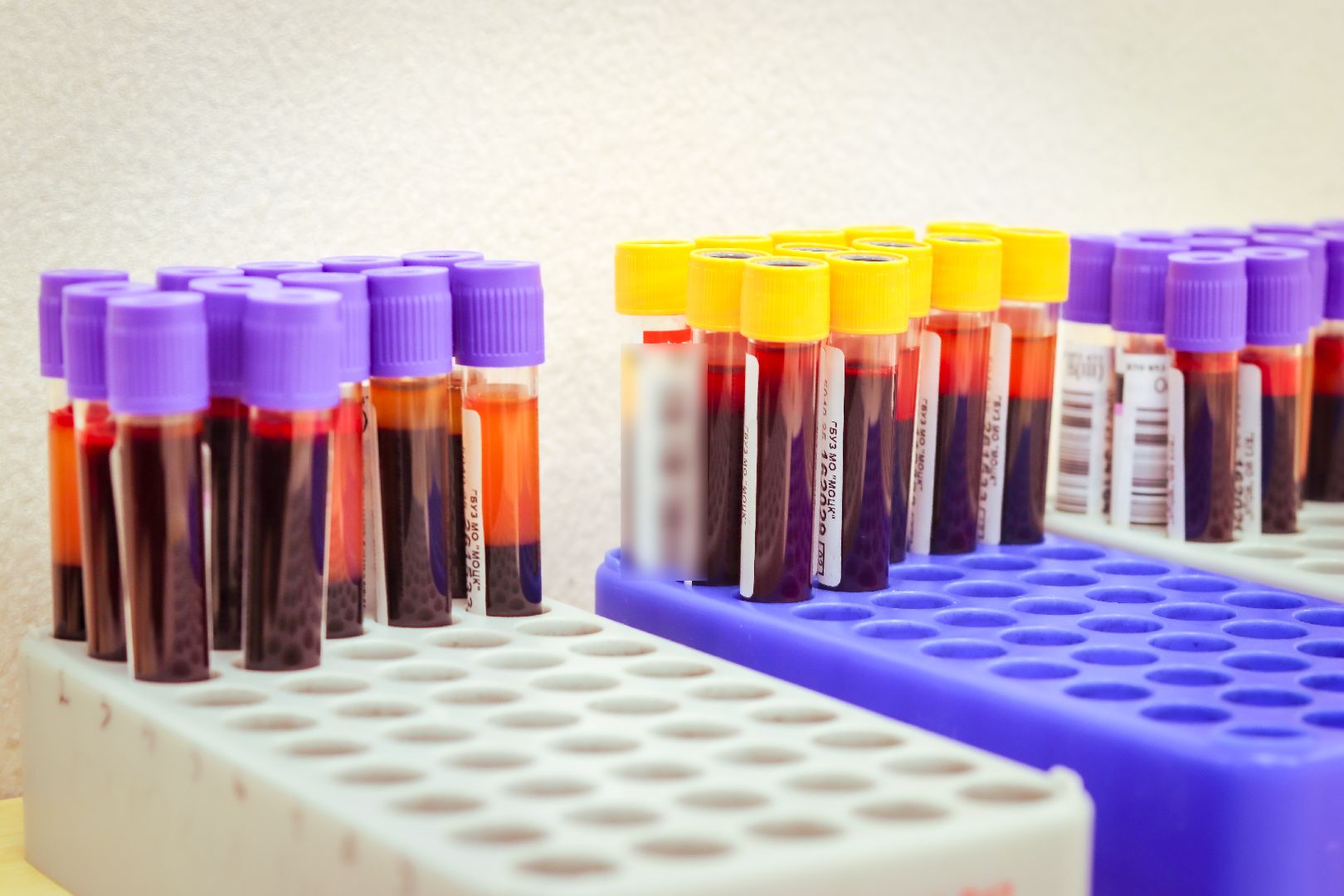 клин, общество, медицина, доноры, подмосковье,