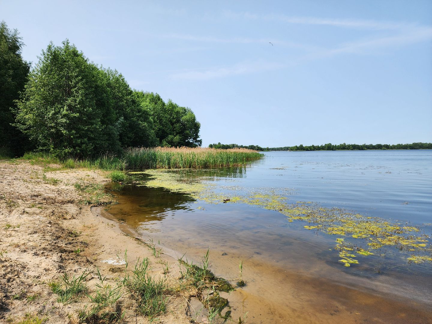 шатура, вода, купание, озёра,