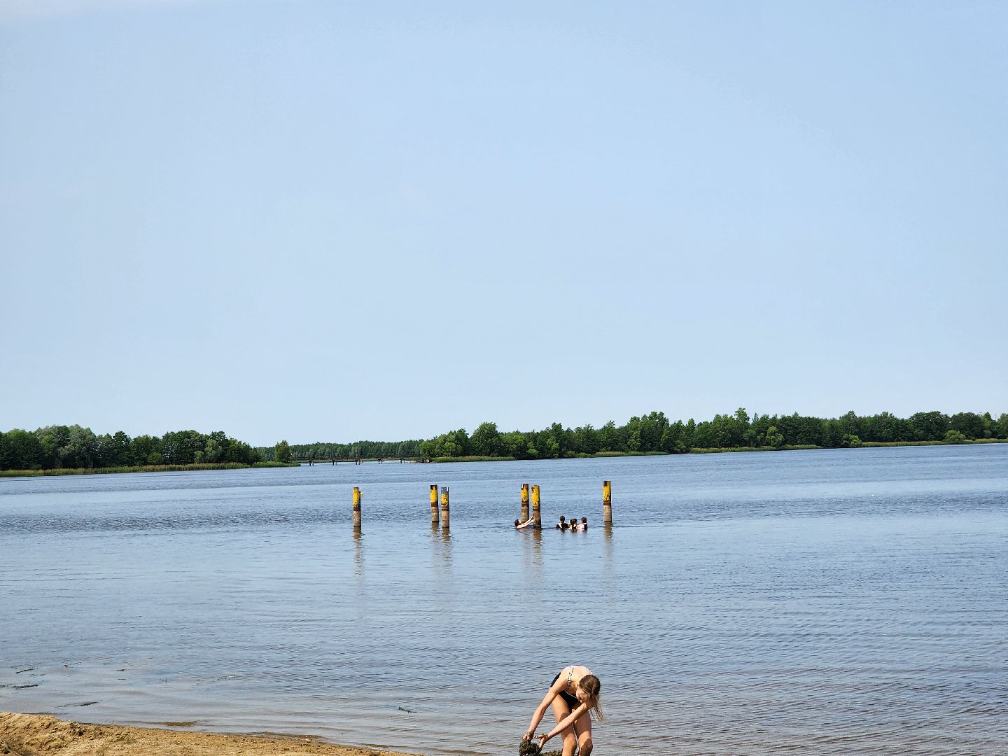 шатура, вода, купание, озёра,