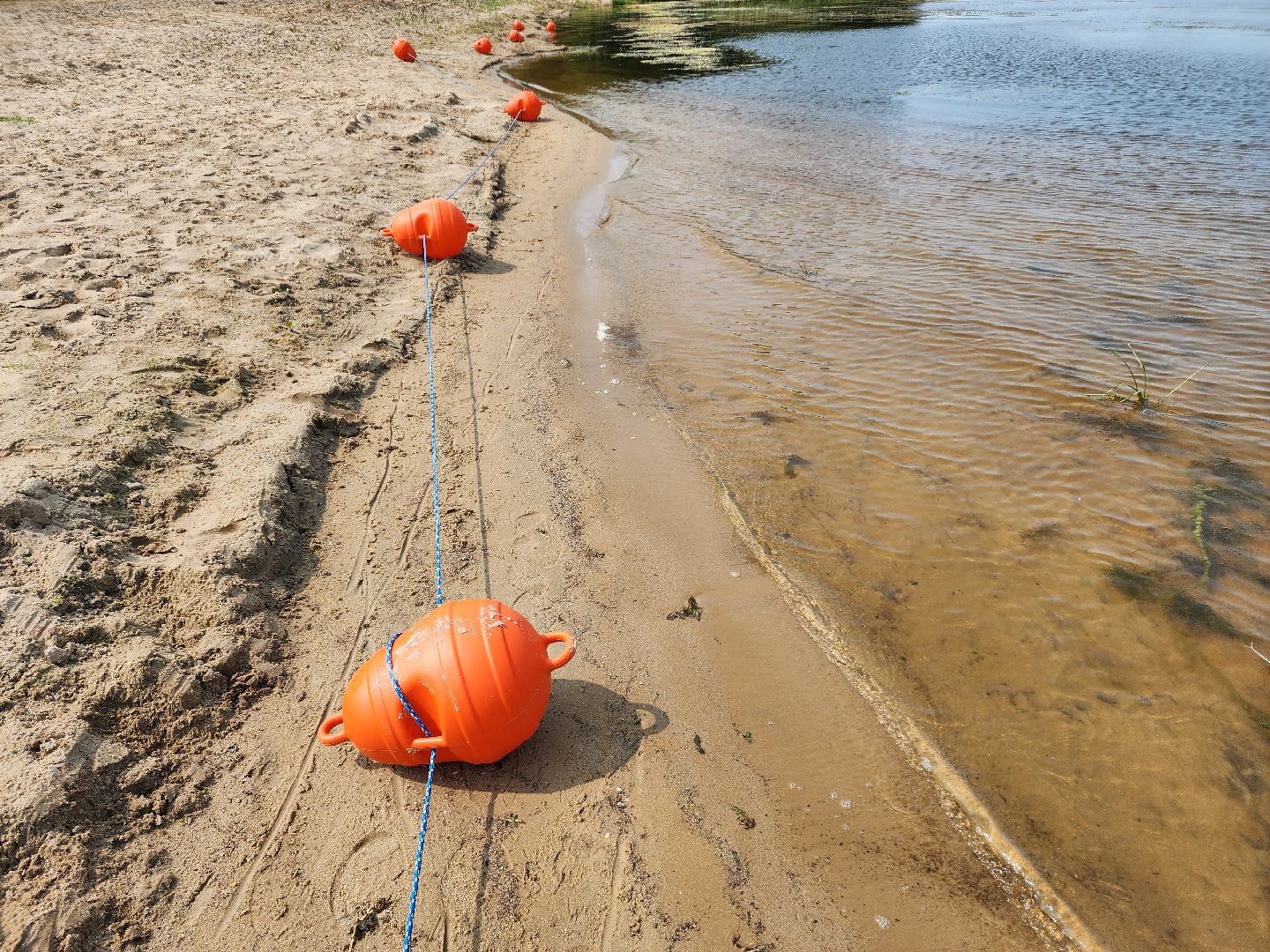 шатура, вода, купание, озёра,