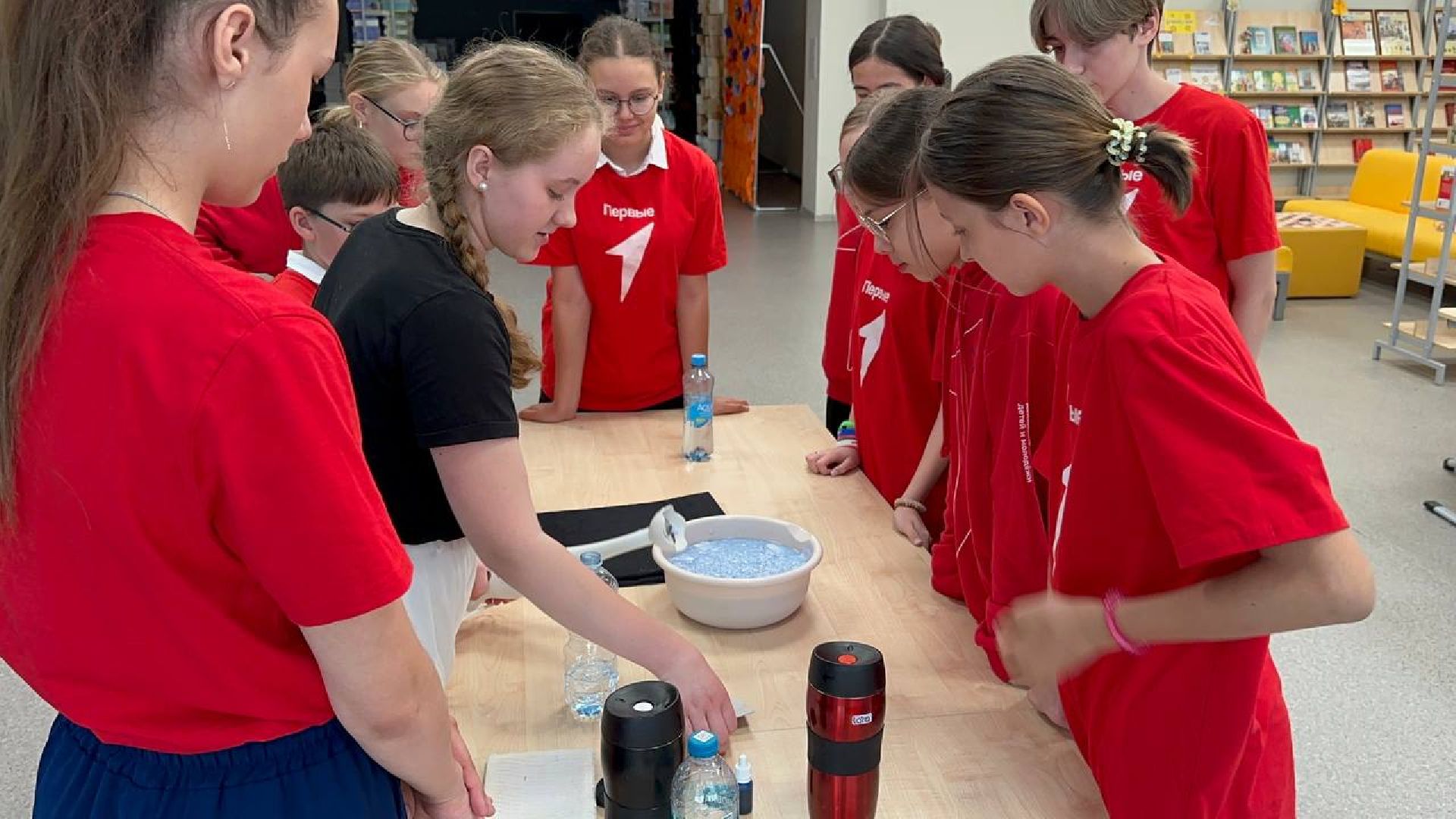 экологическая акция, домодедово, школа,