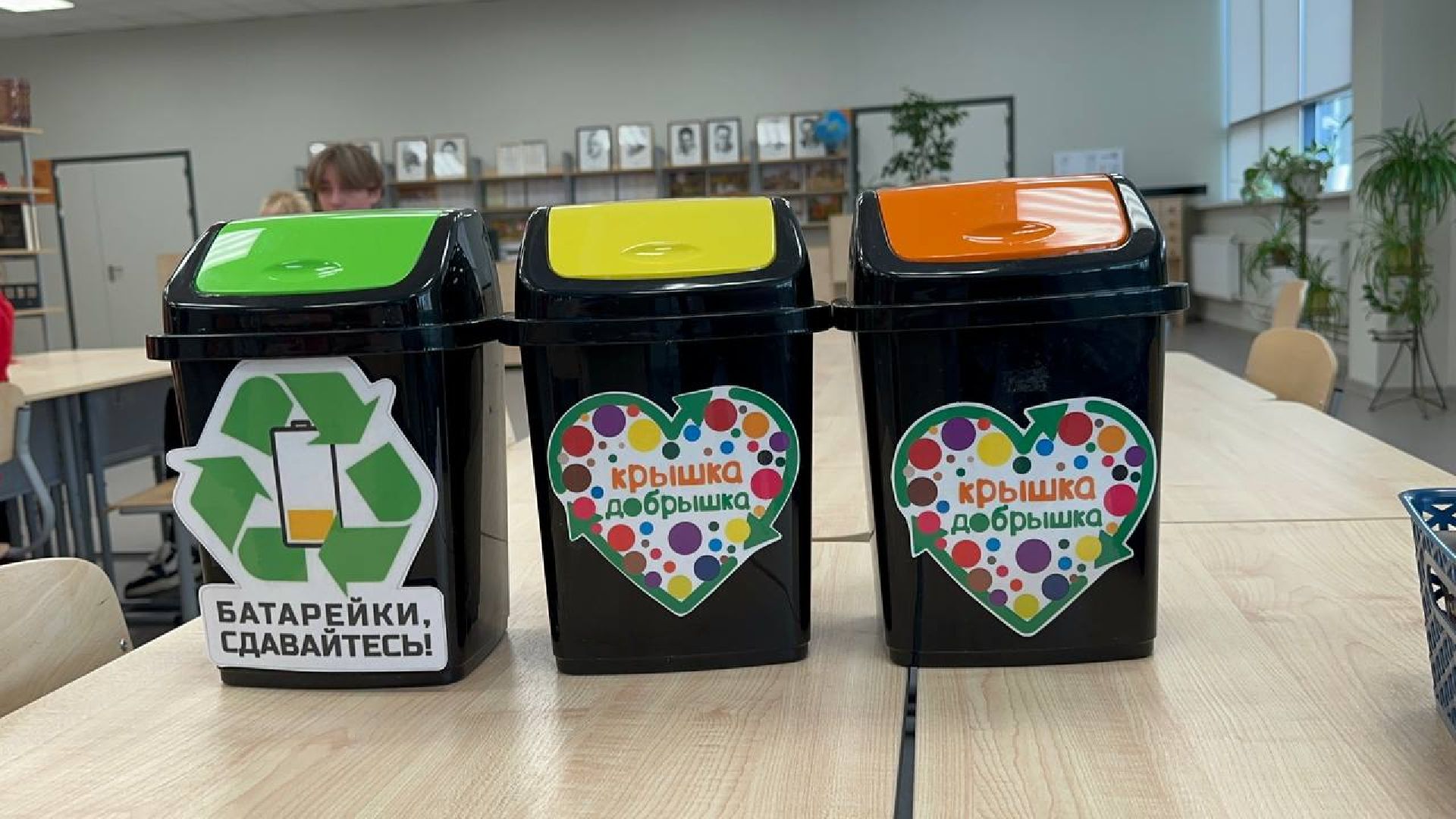 экологическая акция, домодедово, школа,