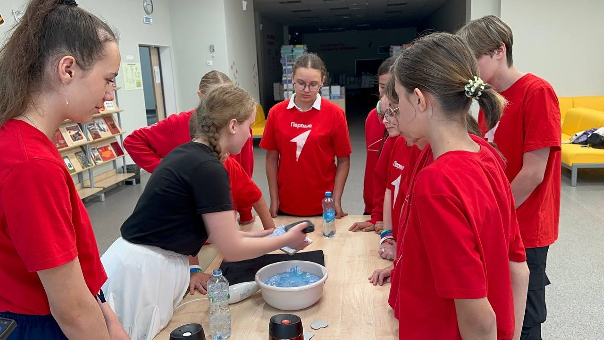 экологическая акция, домодедово, школа,