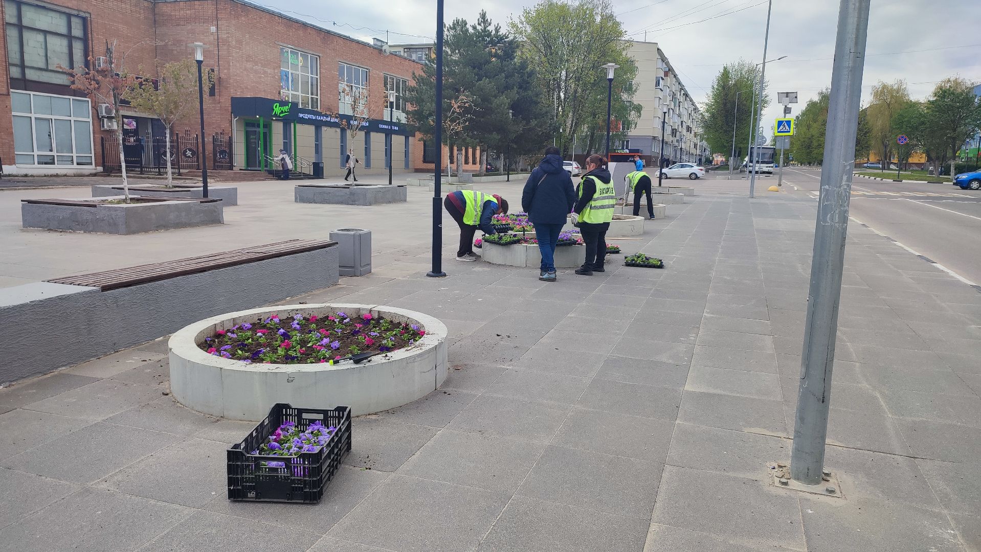 Кашира, благоустройство, ЖКХ, цветы, петуньи