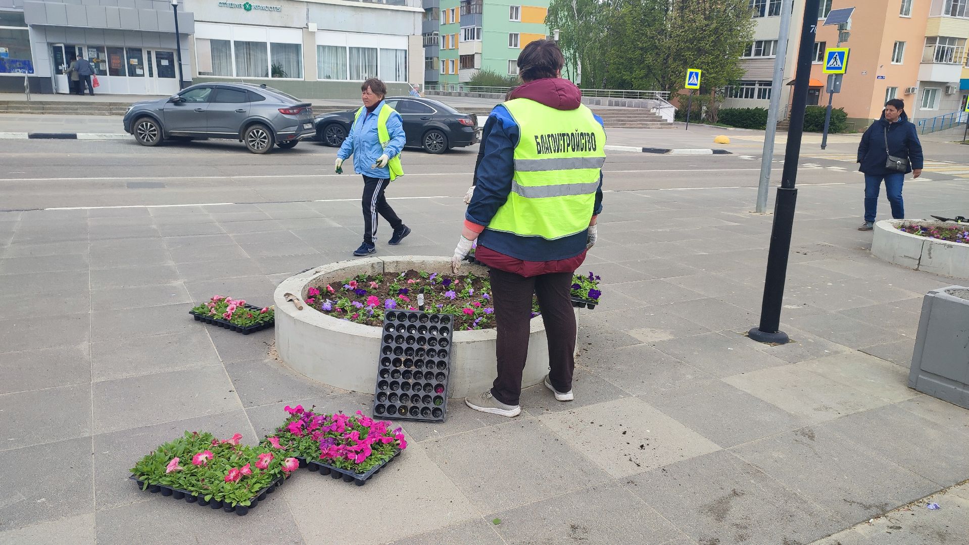 Кашира, благоустройство, ЖКХ, цветы, петуньи