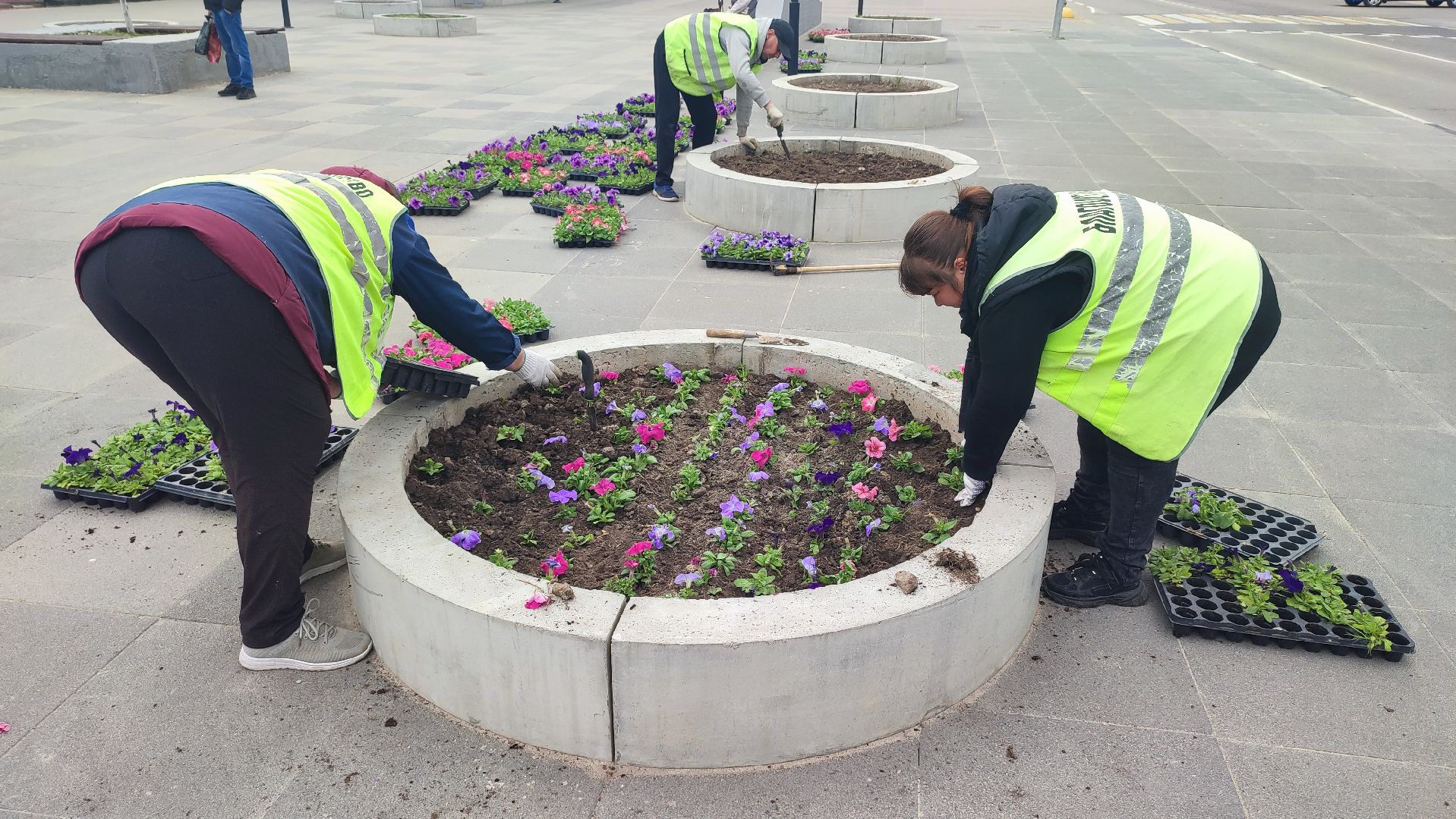 Кашира, благоустройство, ЖКХ, цветы, петуньи