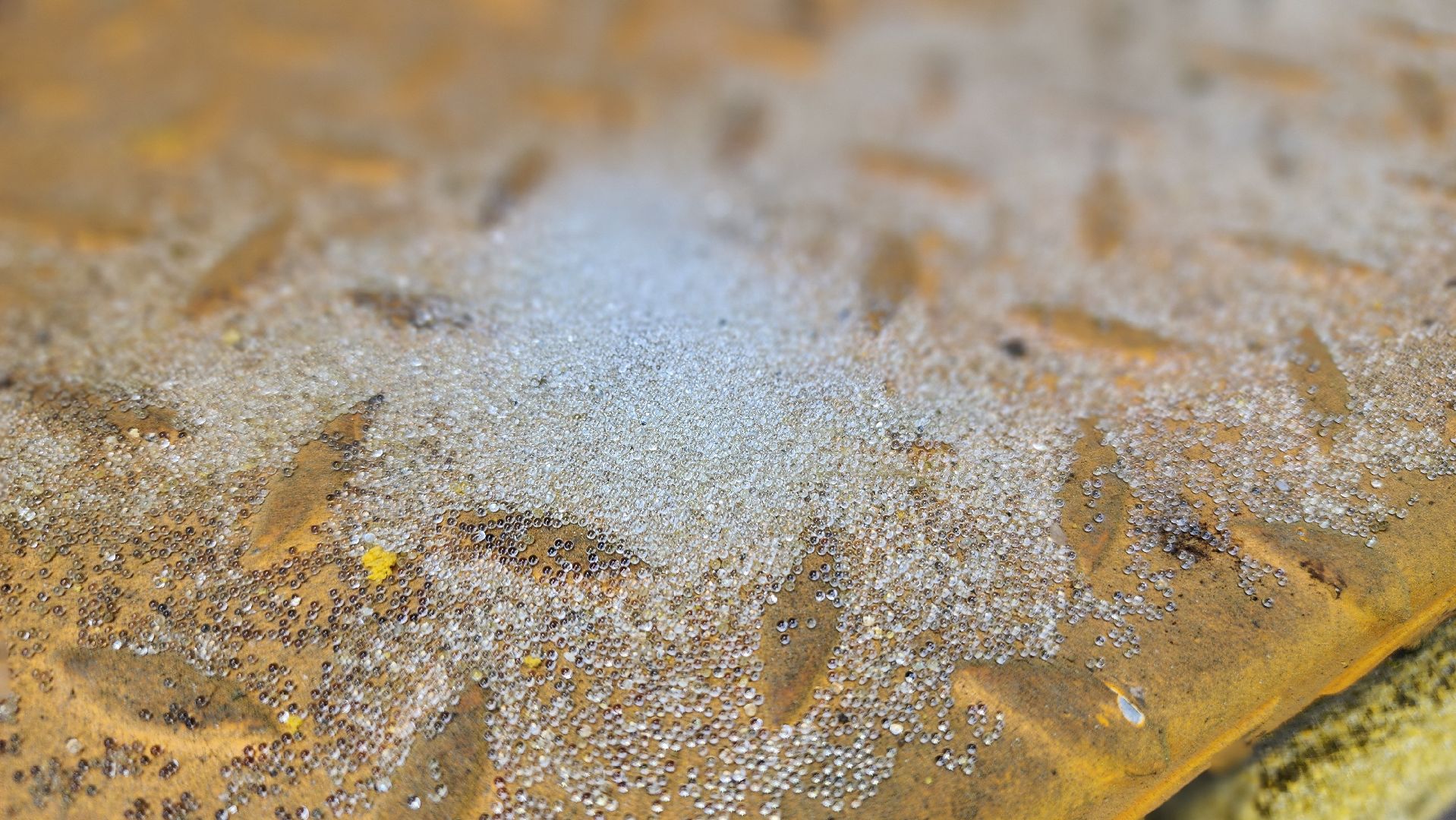 волоколамск, м9 балтия, новая разметка,