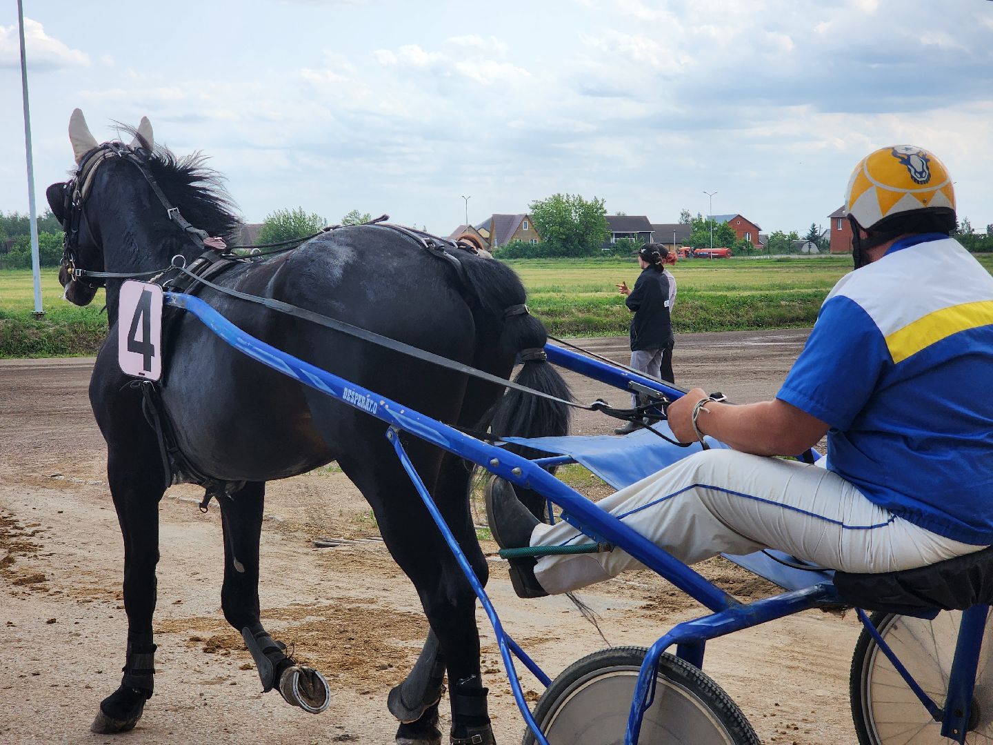 раменское, сельское хозяйство, раменский ипподром, испытания лошадей рысистых пород,