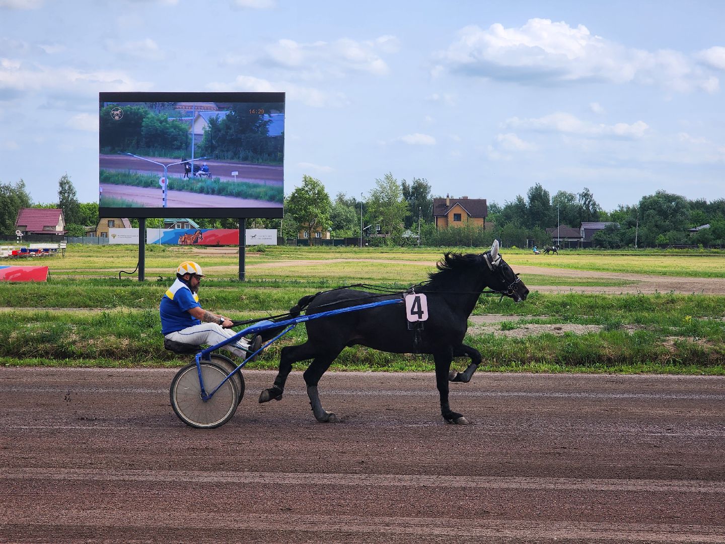 раменское, сельское хозяйство, раменский ипподром, испытания лошадей рысистых пород,
