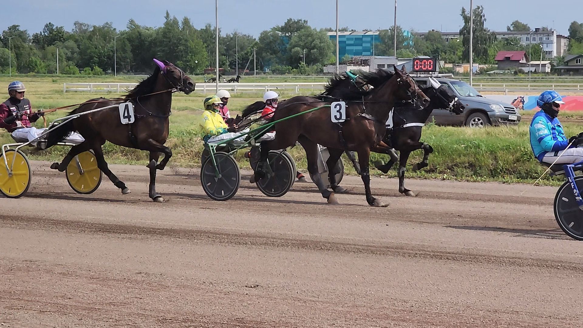 раменское, сельское хозяйство, раменский ипподром, испытания лошадей рысистых пород,
