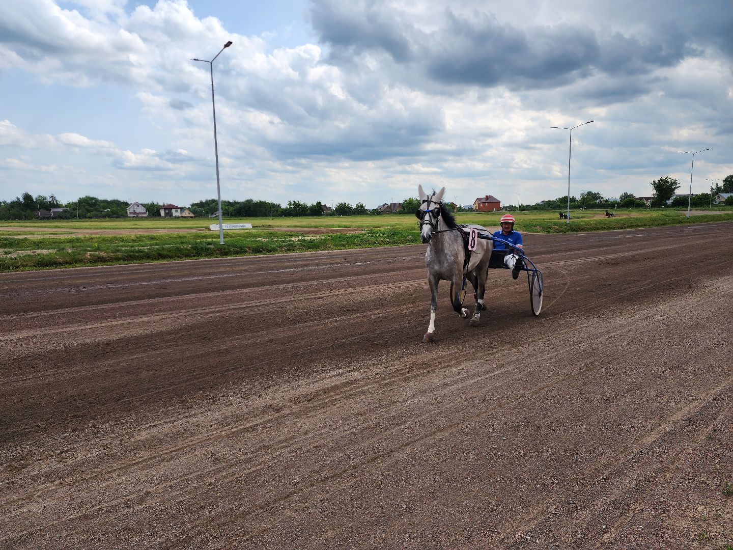 раменское, сельское хозяйство, раменский ипподром, испытания лошадей рысистых пород,